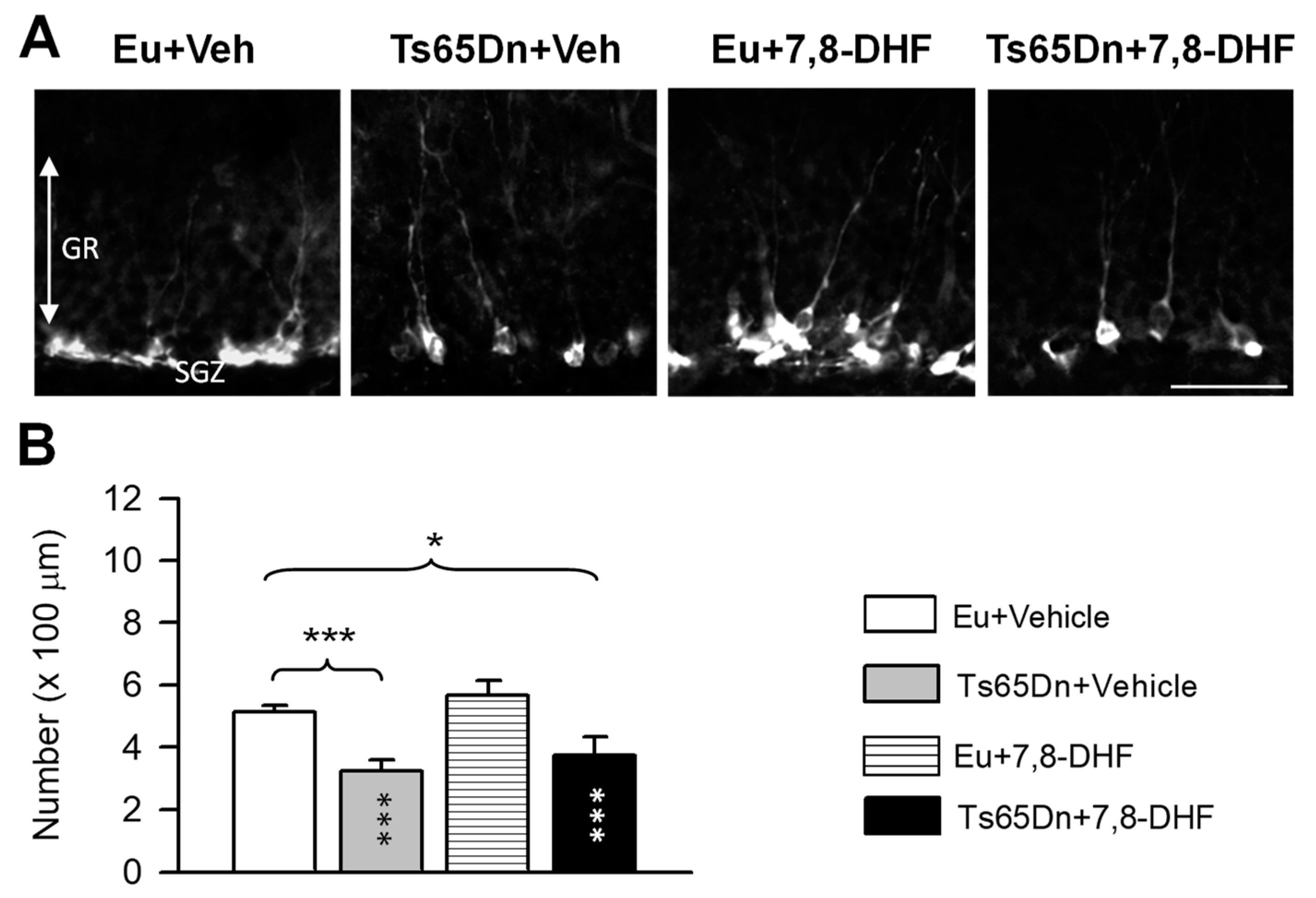 Antioxidants 08 00163 g006 Antioxidants 08 00163 g006