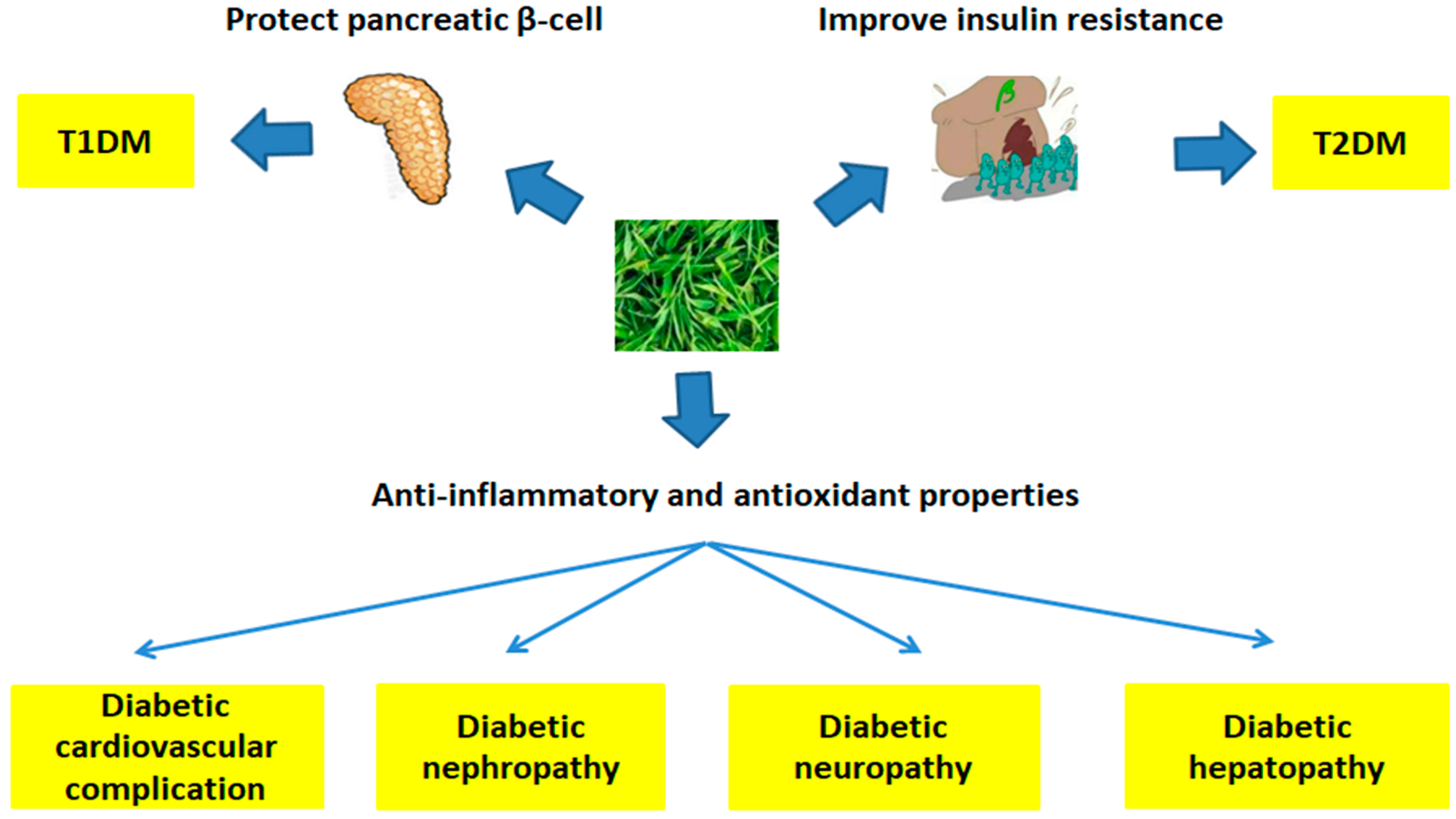 EGCG and diabetes prevention