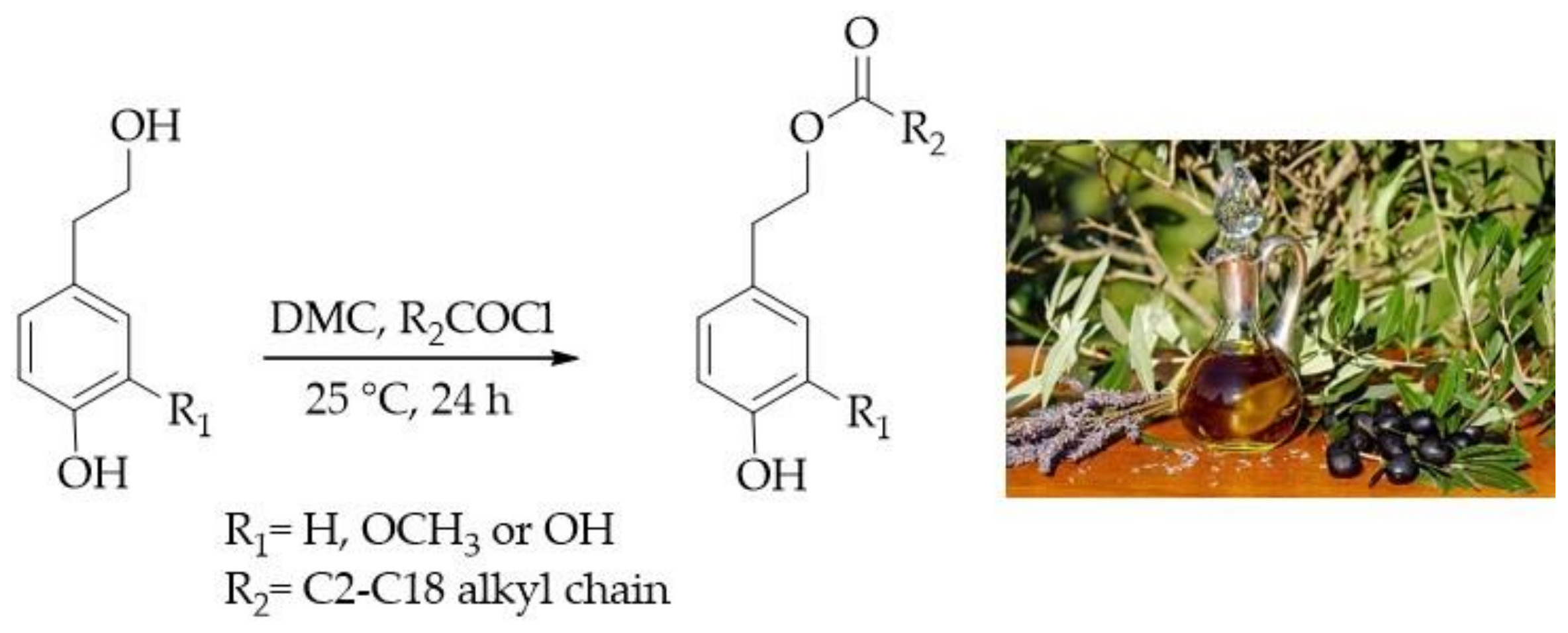 Antioxidants Free FullText Synthesis of Lipophilic Esters of