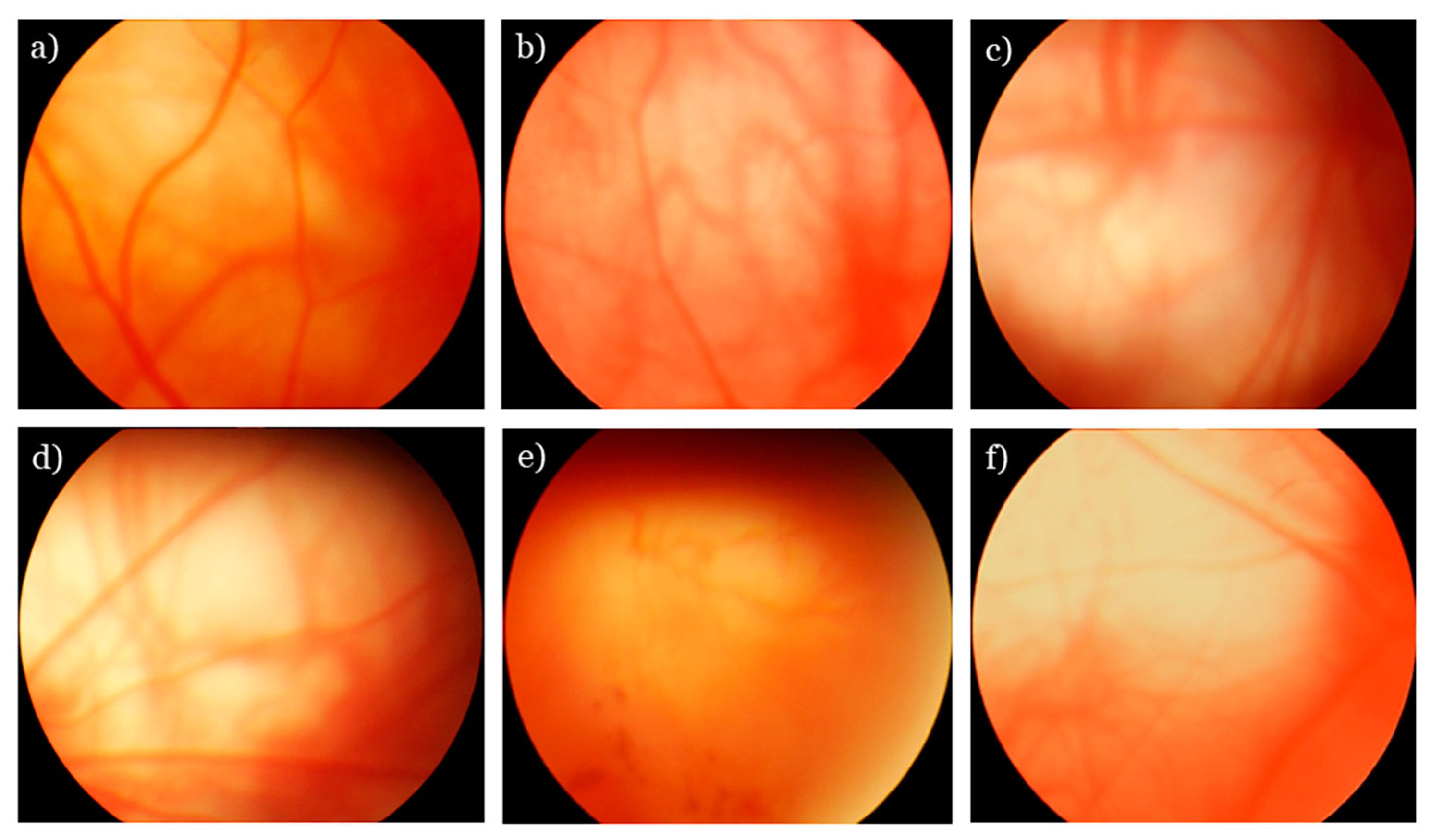aion database tissue aion database tissue