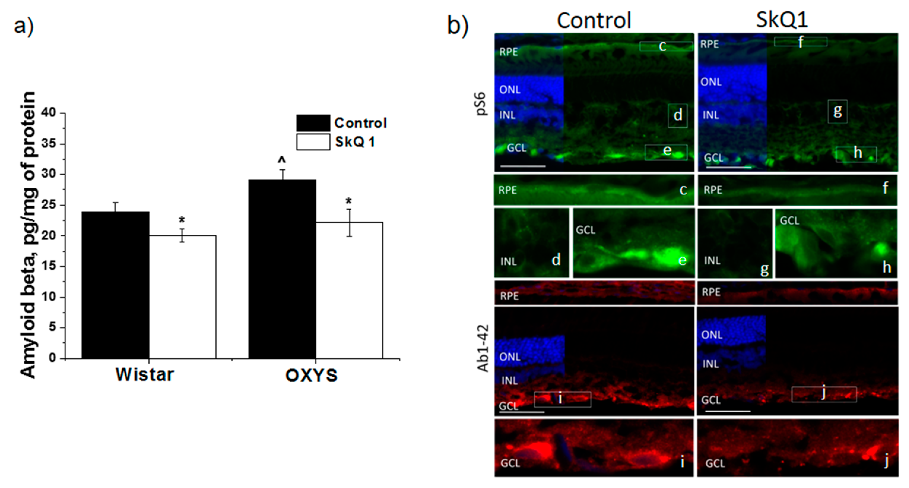 Antioxidants 08 00177 g005 Antioxidants 08 00177 g005