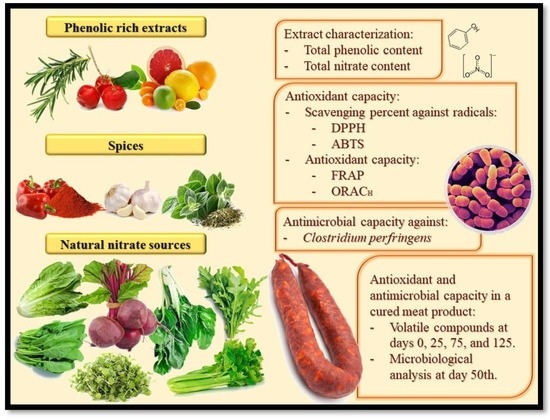ser antioxidant sophyto anti-imbatranire)
