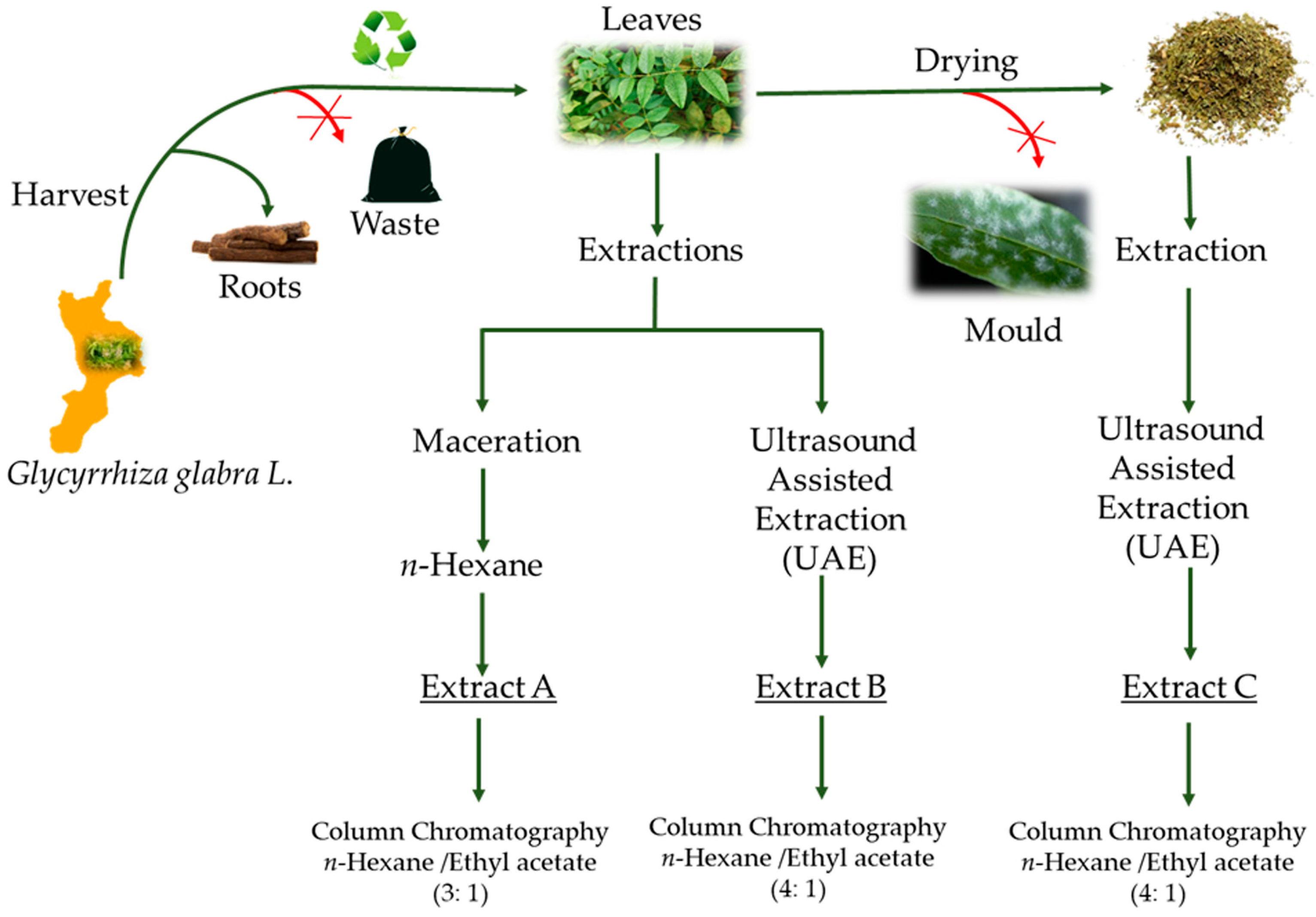 Antioxidants 08 00186 g001