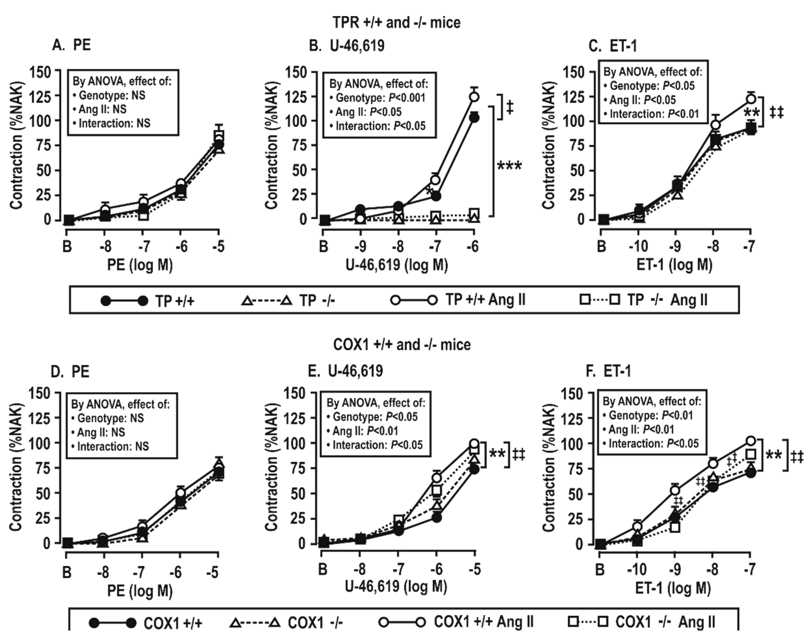 Antioxidants 08 00193 g004 Antioxidants 08 00193 g004
