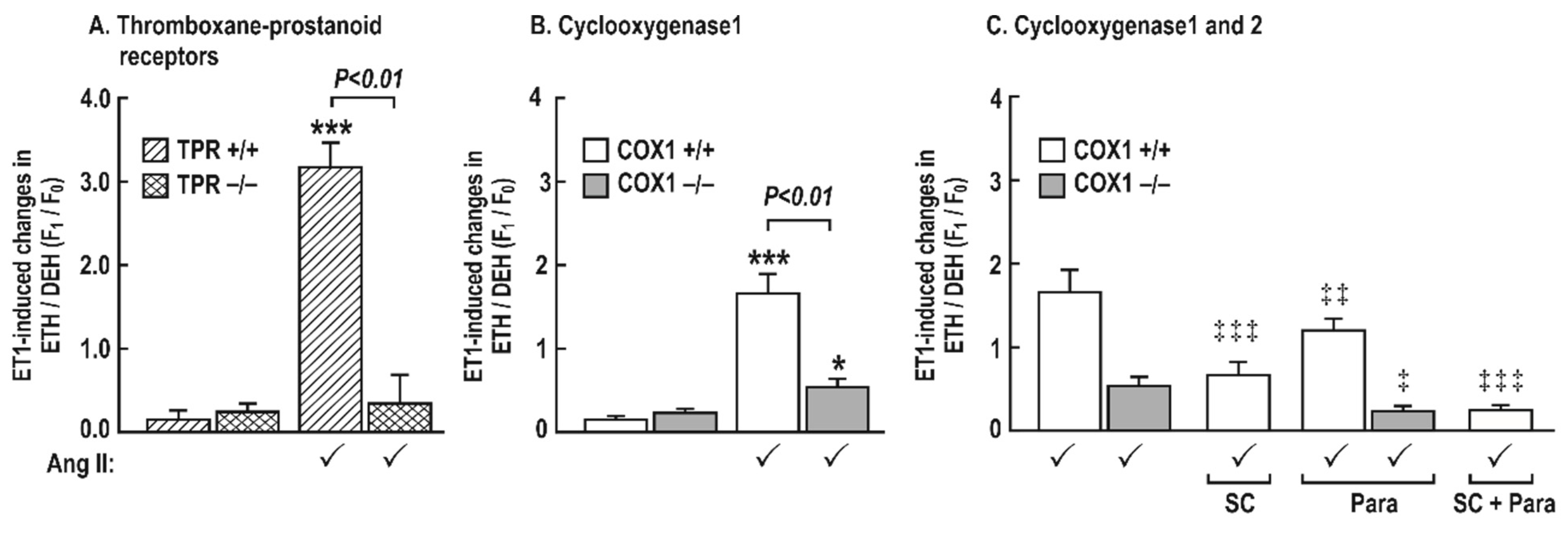 Antioxidants 08 00193 g007 Antioxidants 08 00193 g007