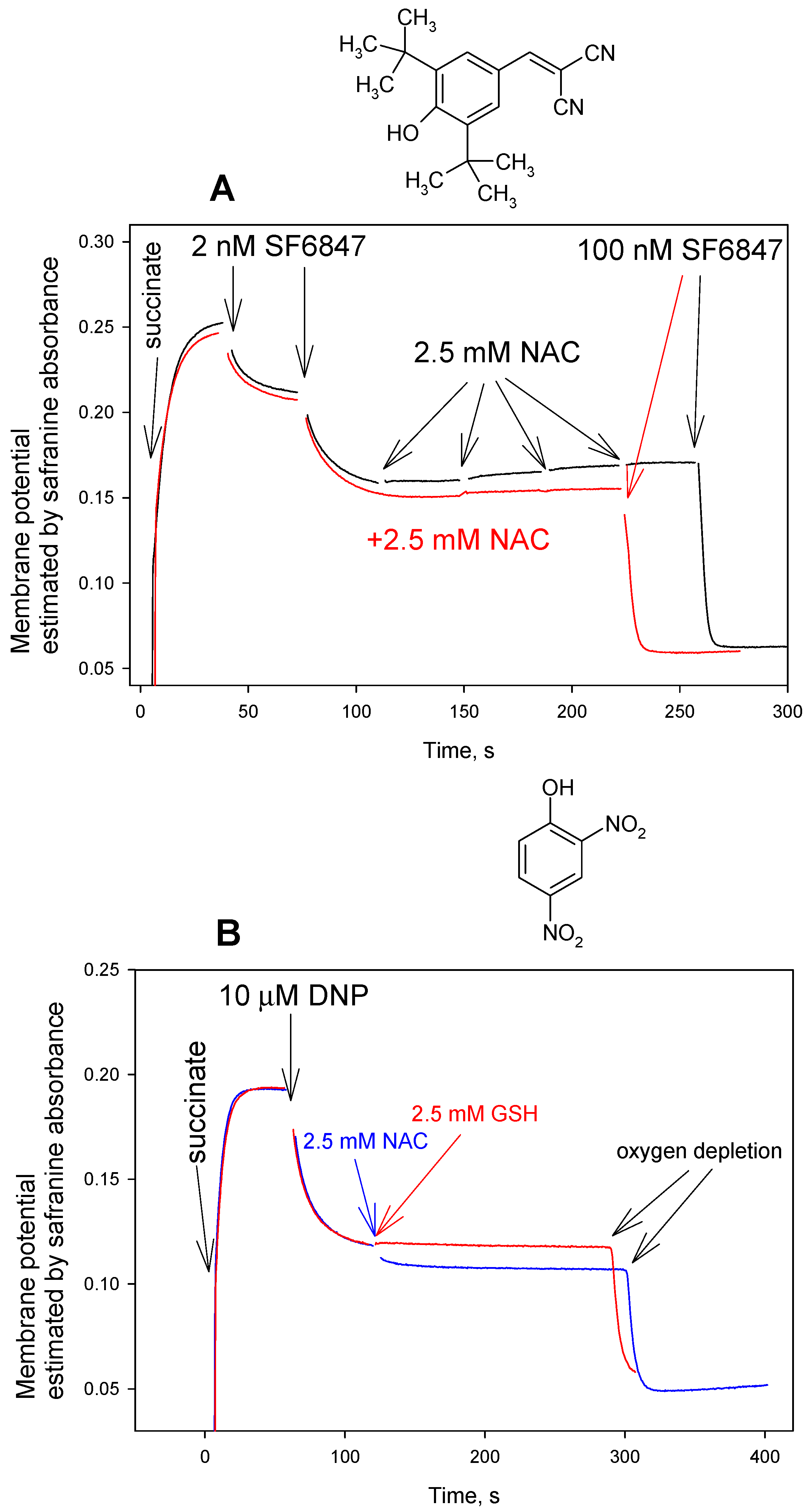 Antioxidants 08 00194 g005 Antioxidants 08 00194 g005