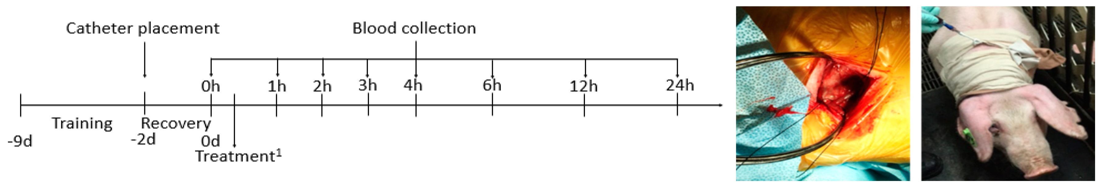 Antioxidants 08 00195 g001 Antioxidants 08 00195 g001