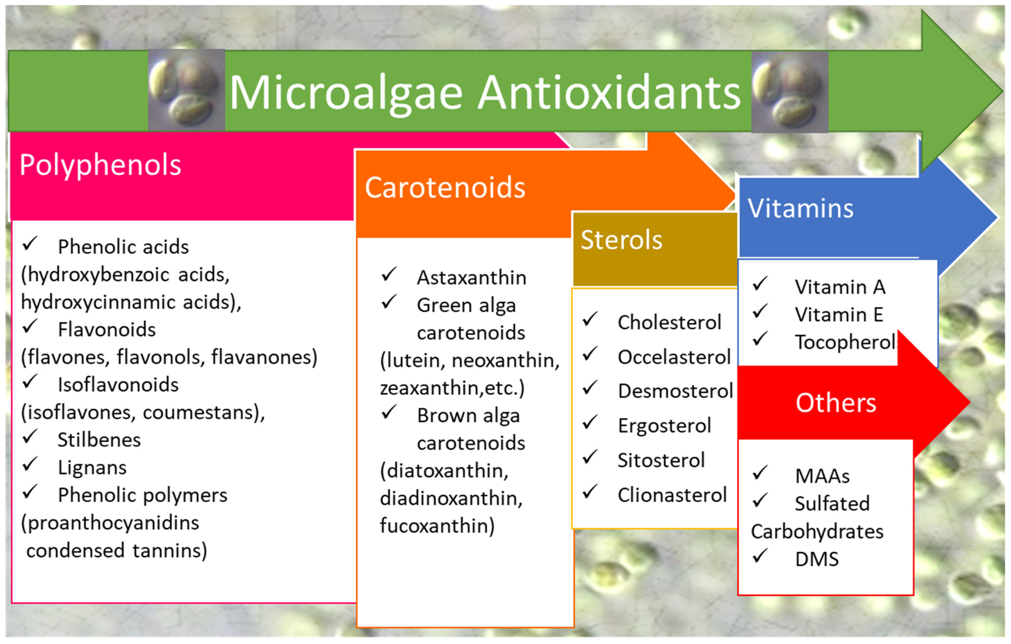 Antioxidants Free FullText Promises and Challenges of Microalgal