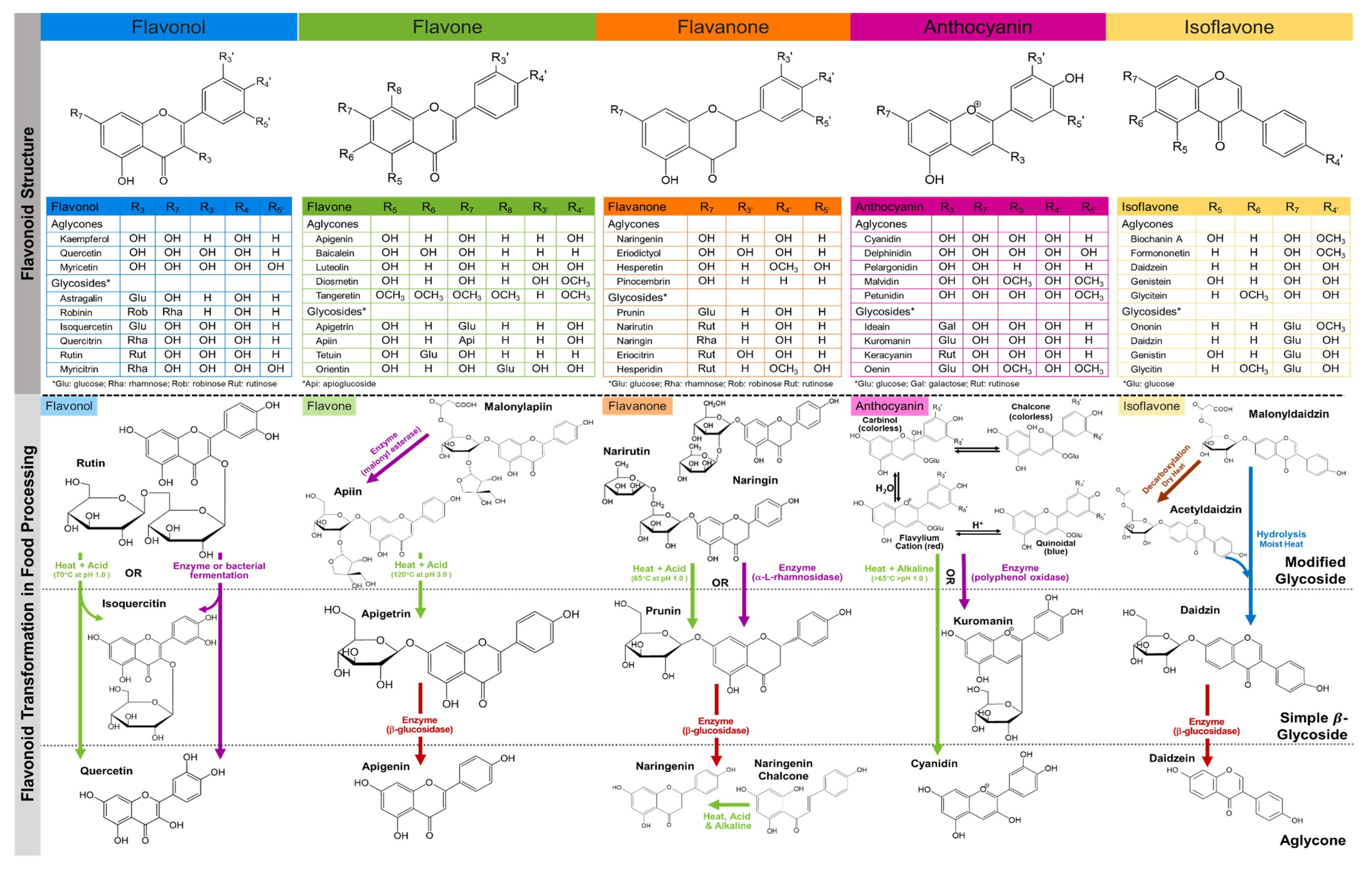 Antioxidants 08 00202 g001 Antioxidants 08 00202 g001
