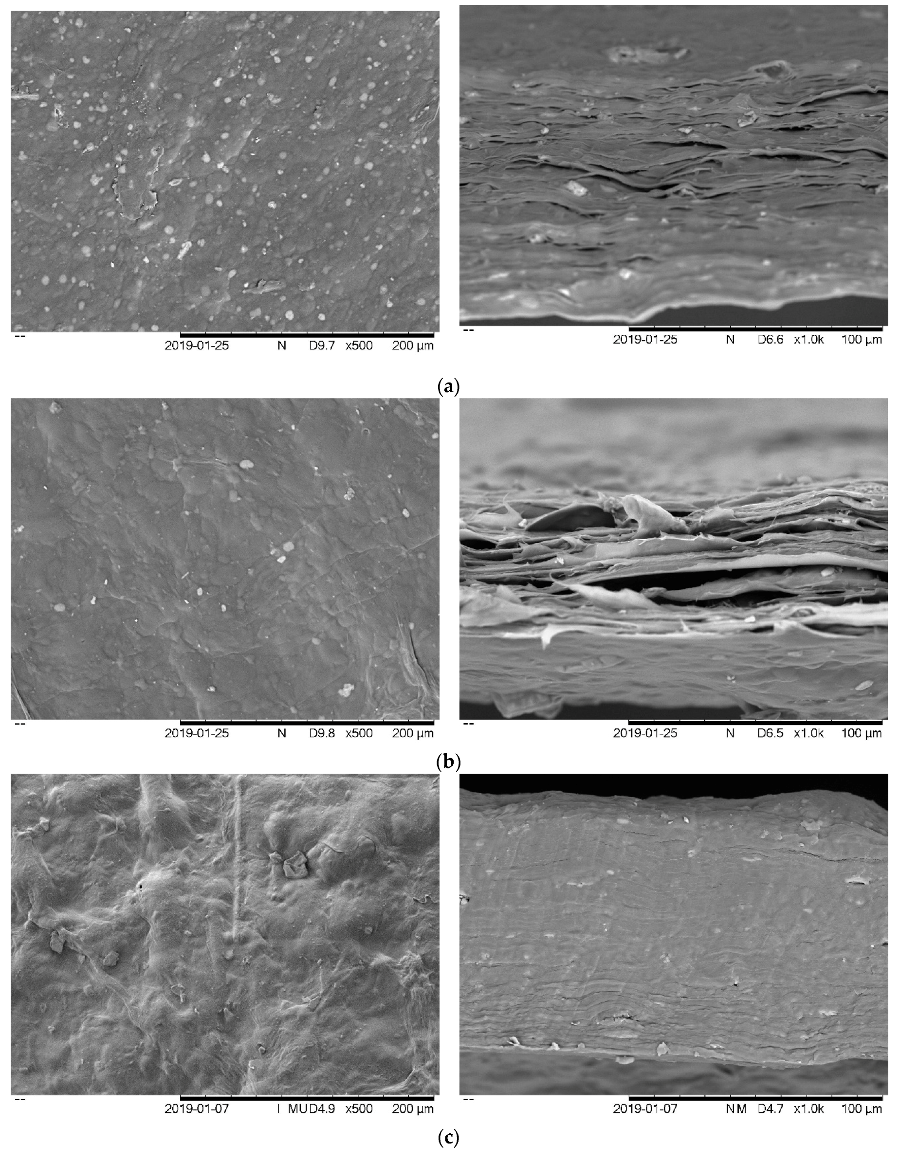 Antioxidants 08 00204 g001a