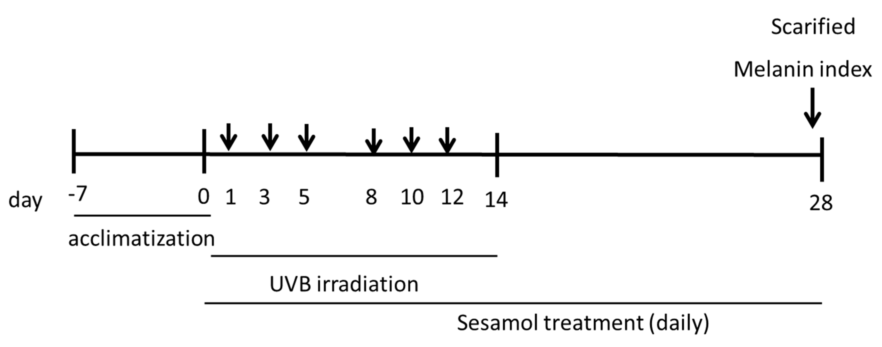 Antioxidants 08 00207 g001 Antioxidants 08 00207 g001