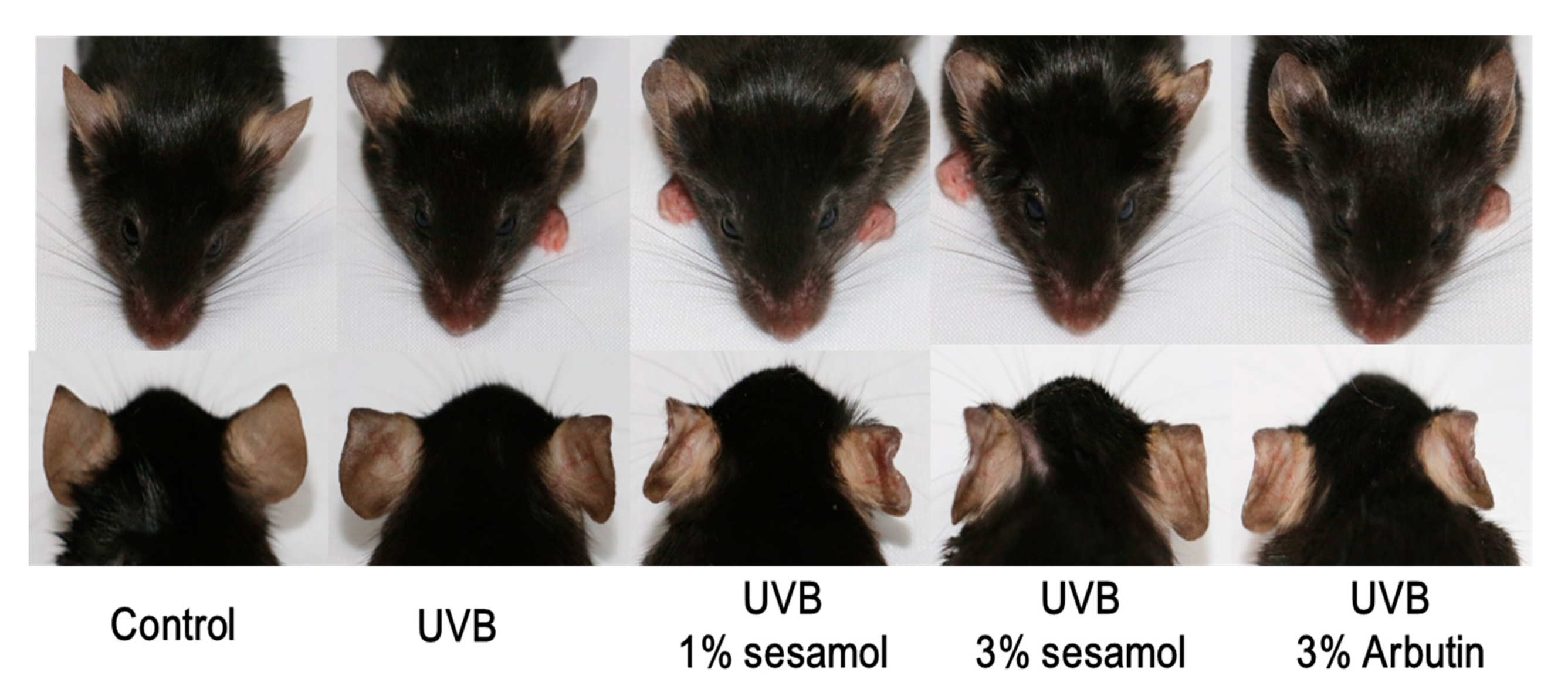 Antioxidants 08 00207 g005 Antioxidants 08 00207 g005