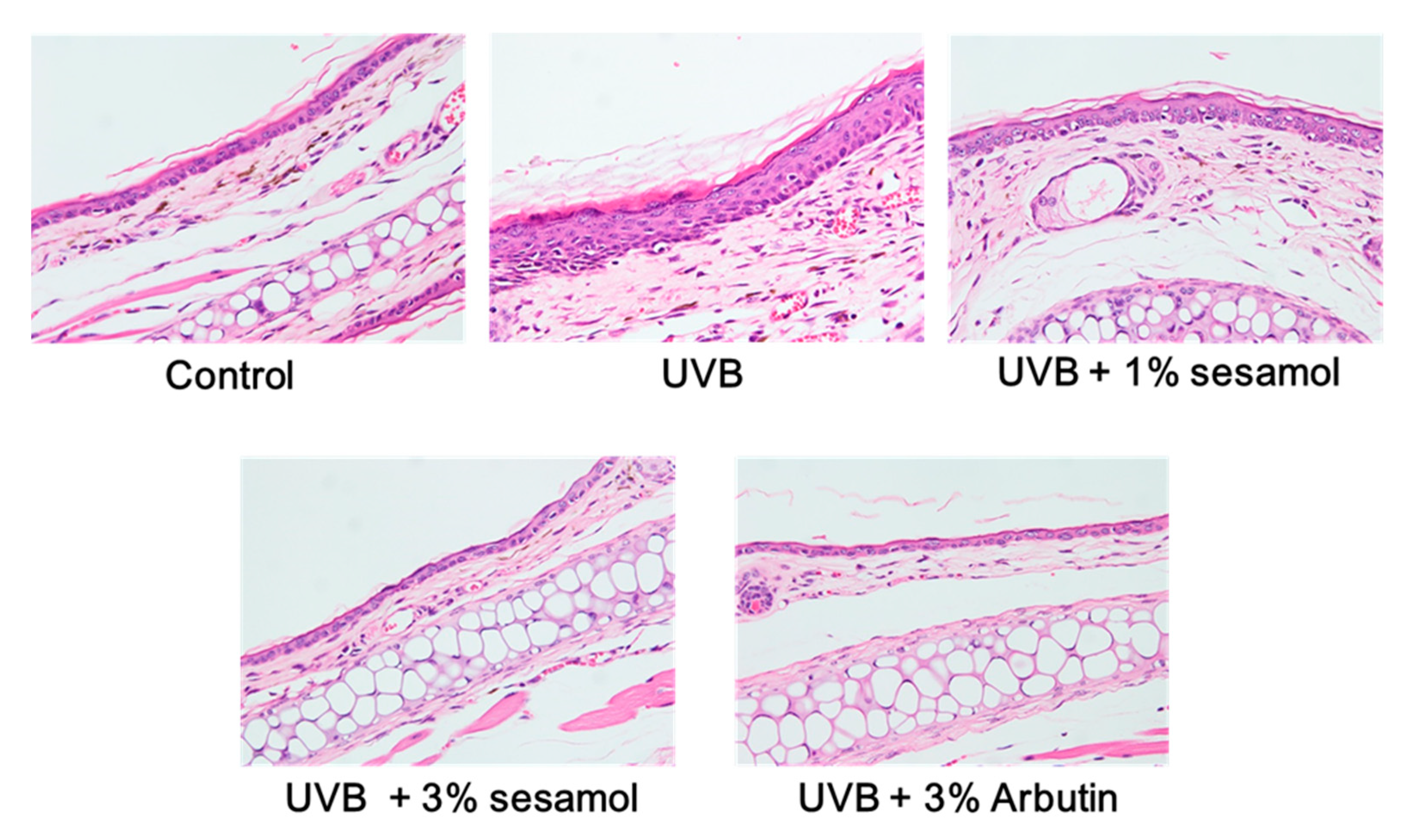 Antioxidants 08 00207 g007a Antioxidants 08 00207 g007a