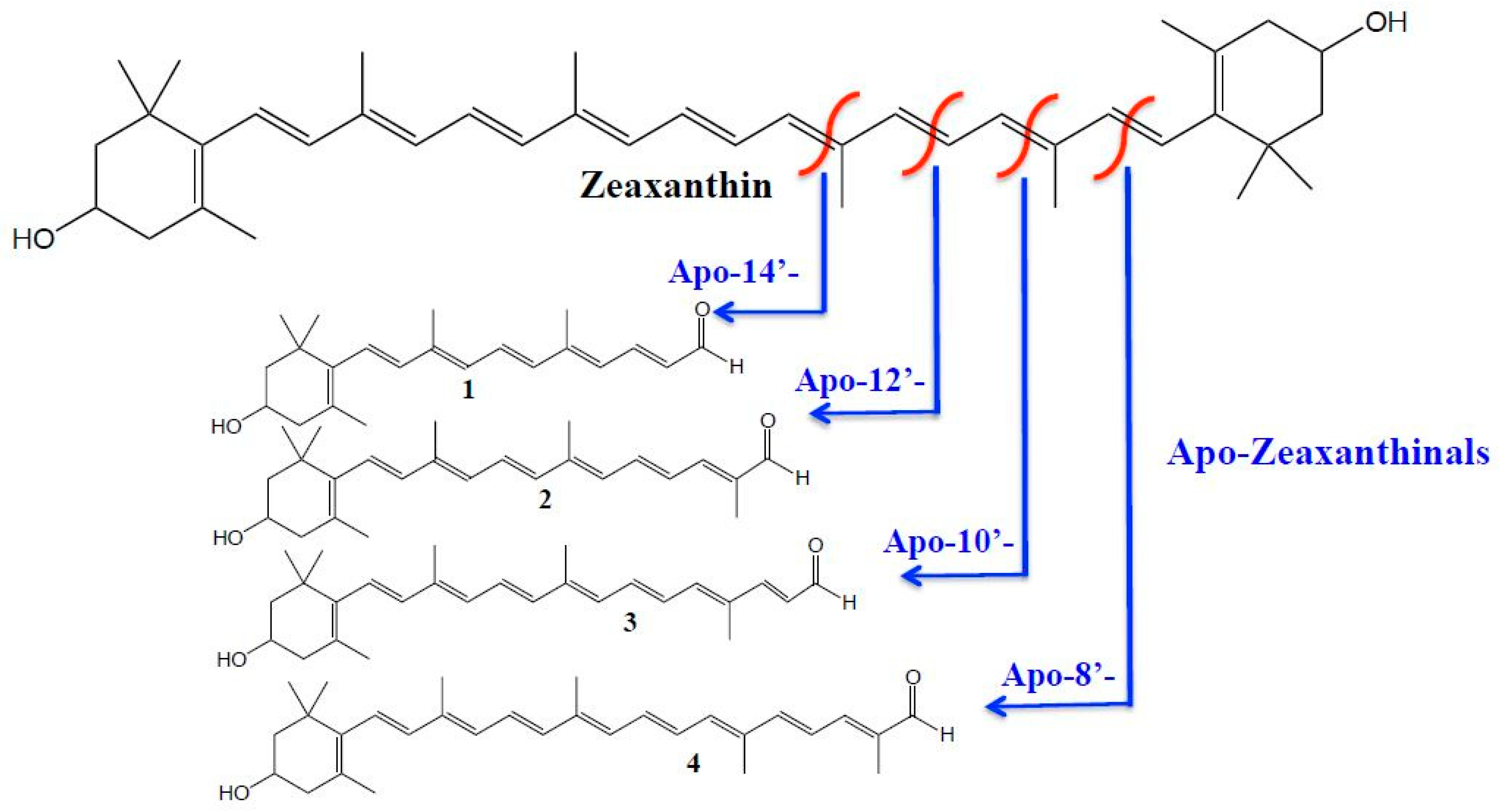 Antioxidants 08 00209 g001