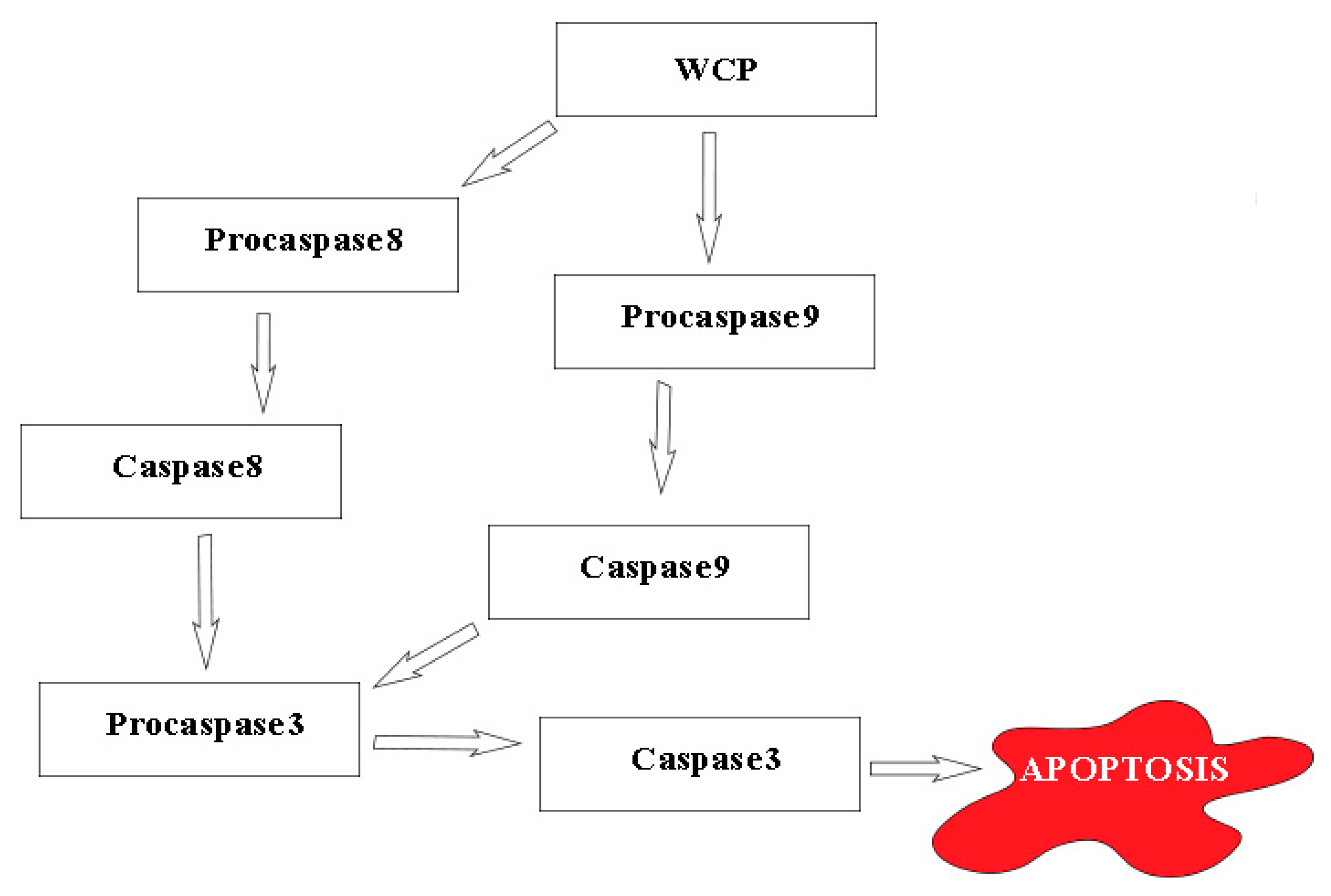 Antioxidants 08 00211 g002 Antioxidants 08 00211 g002