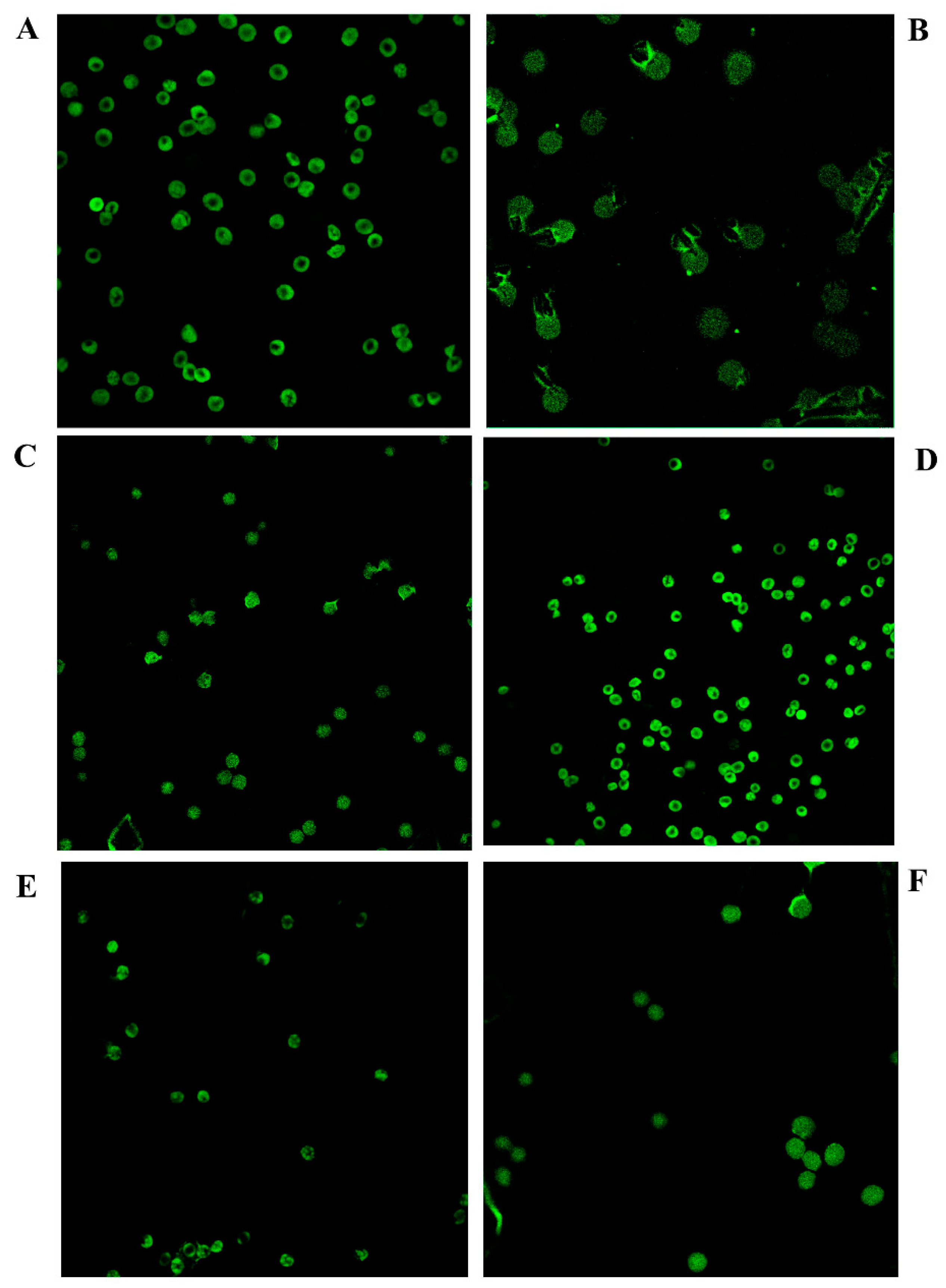 Antioxidants 08 00220 g007 Antioxidants 08 00220 g007