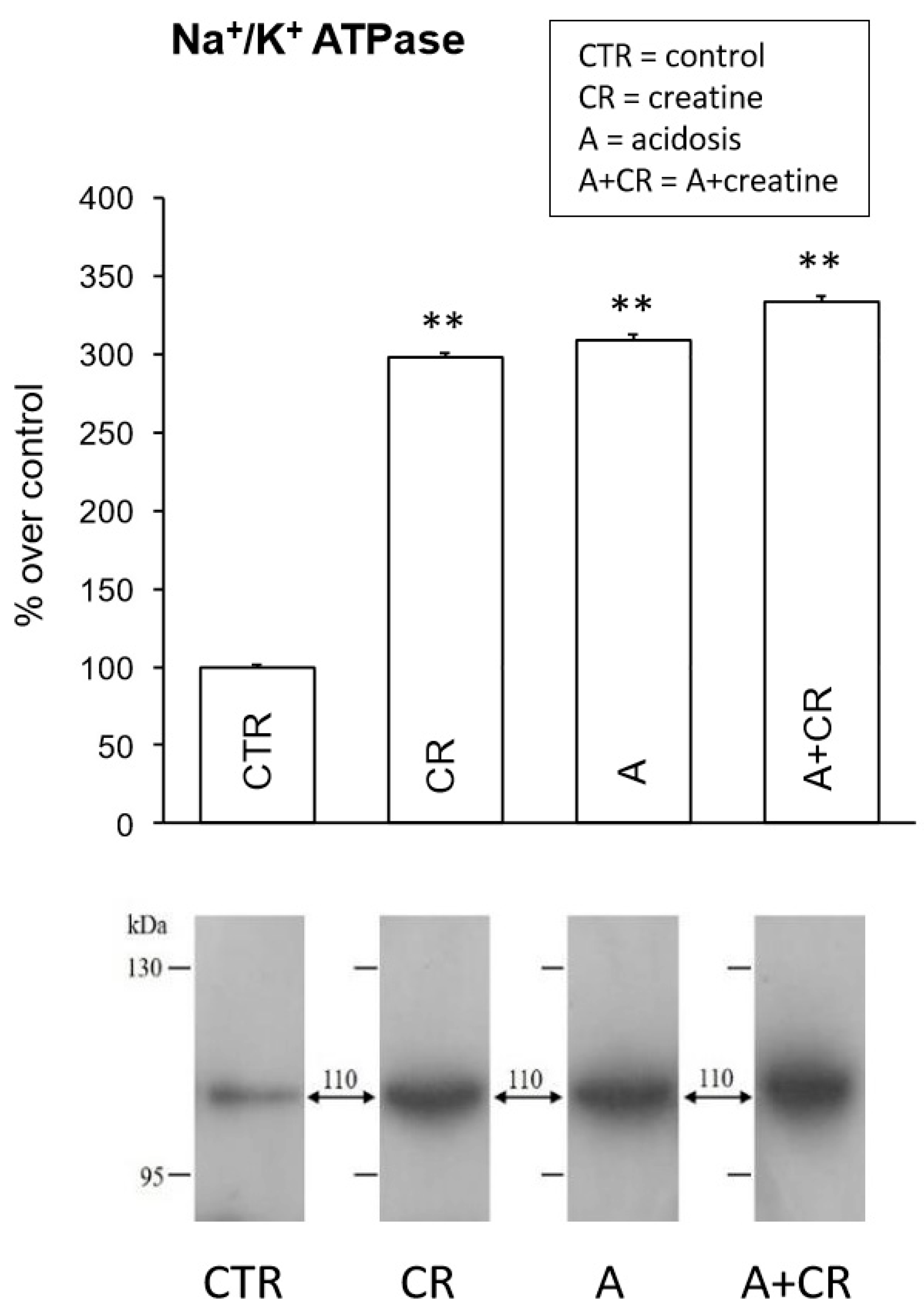 Antioxidants 08 00225 g006 Antioxidants 08 00225 g006