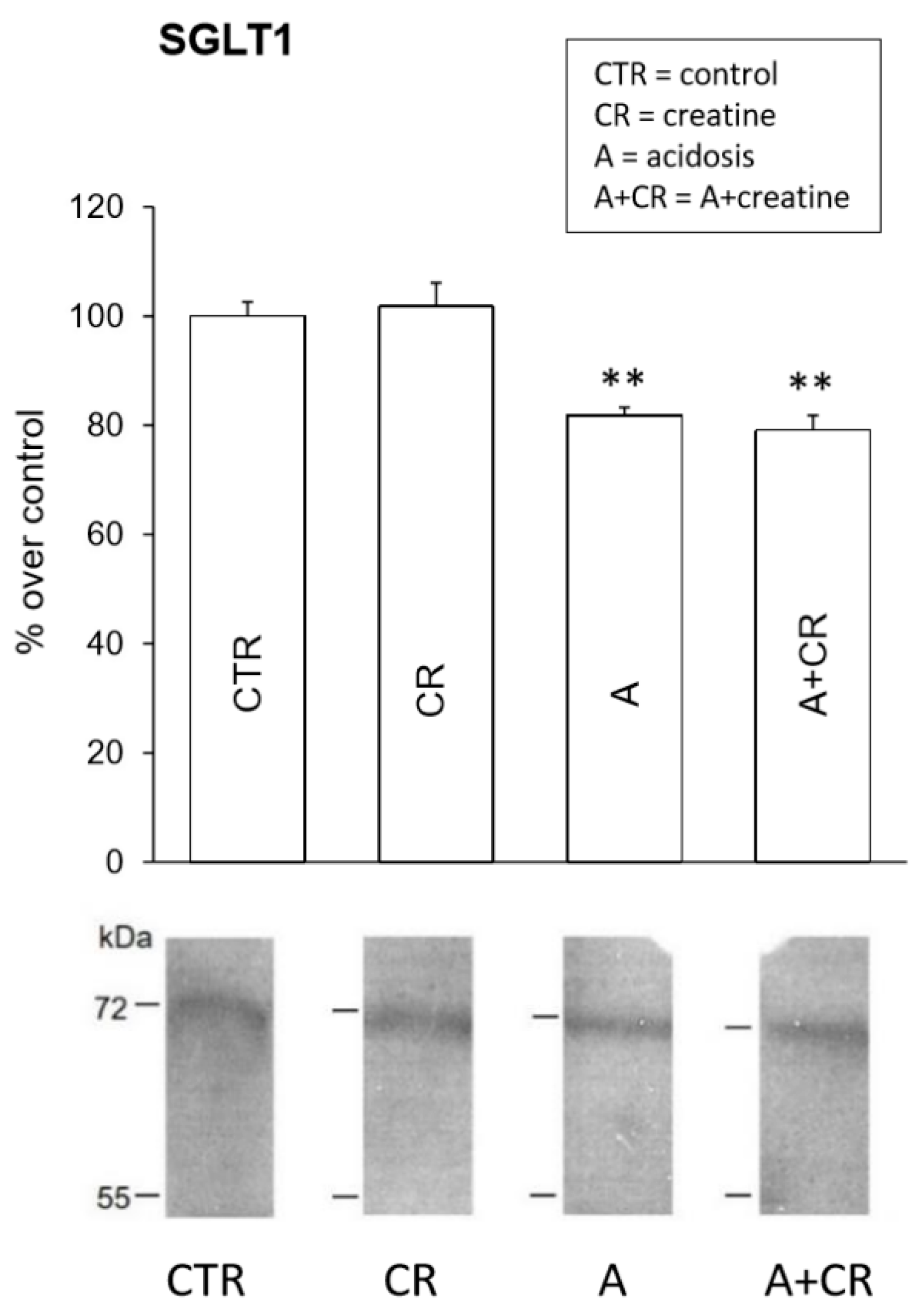 Antioxidants 08 00225 g008 Antioxidants 08 00225 g008