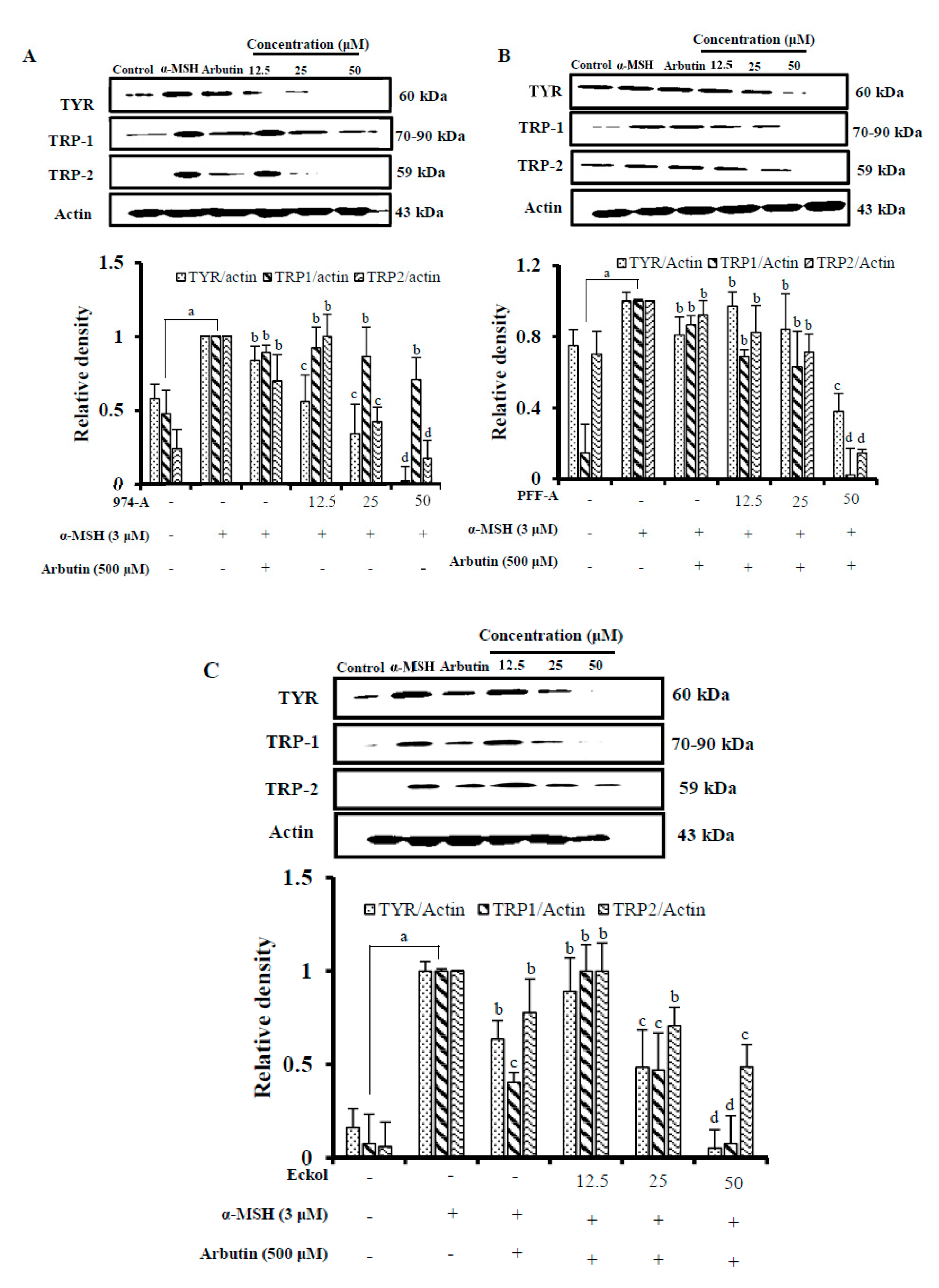 Antioxidants Free Full Text Phlorotannins with 