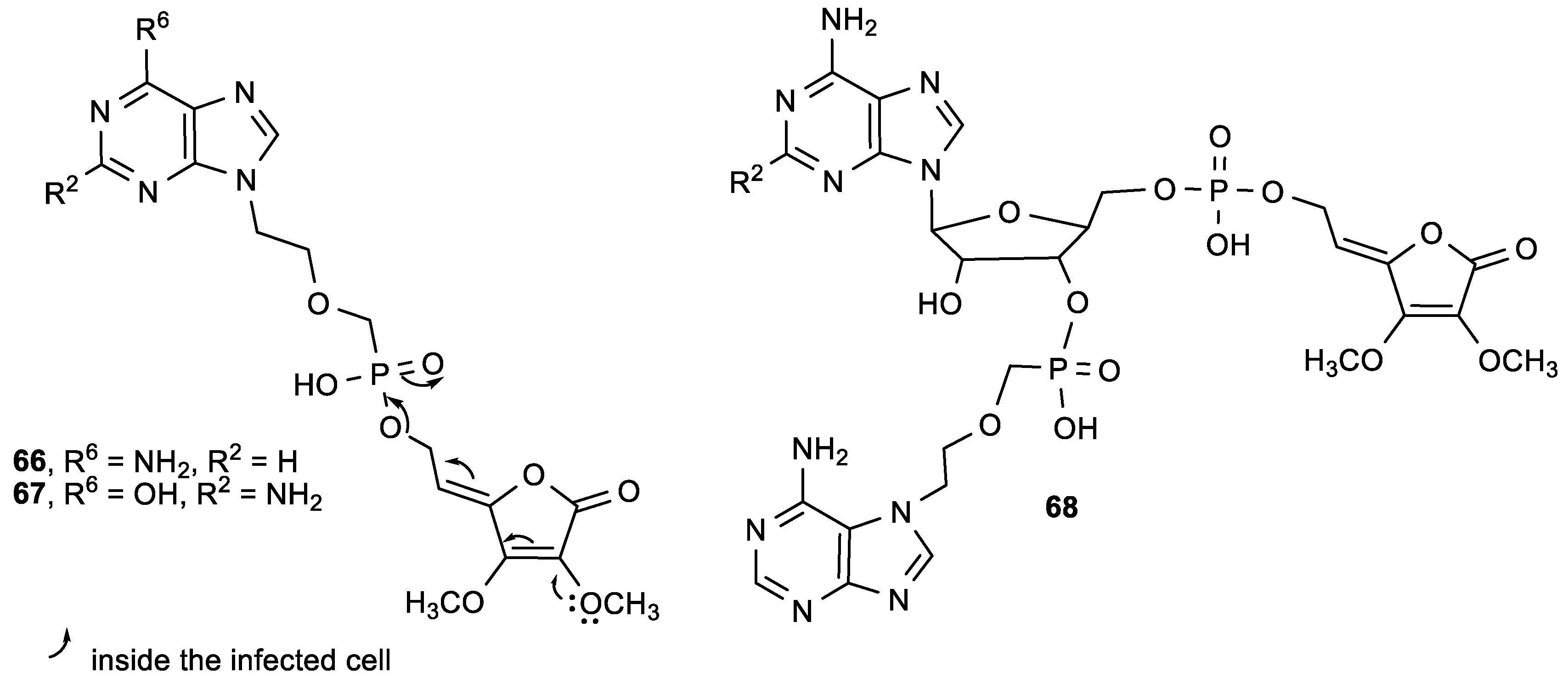 Antioxidants 08 00247 g025
