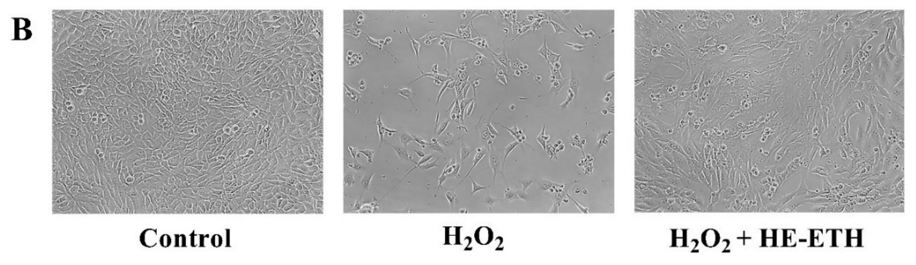 Antioxidants 08 00261 g004b