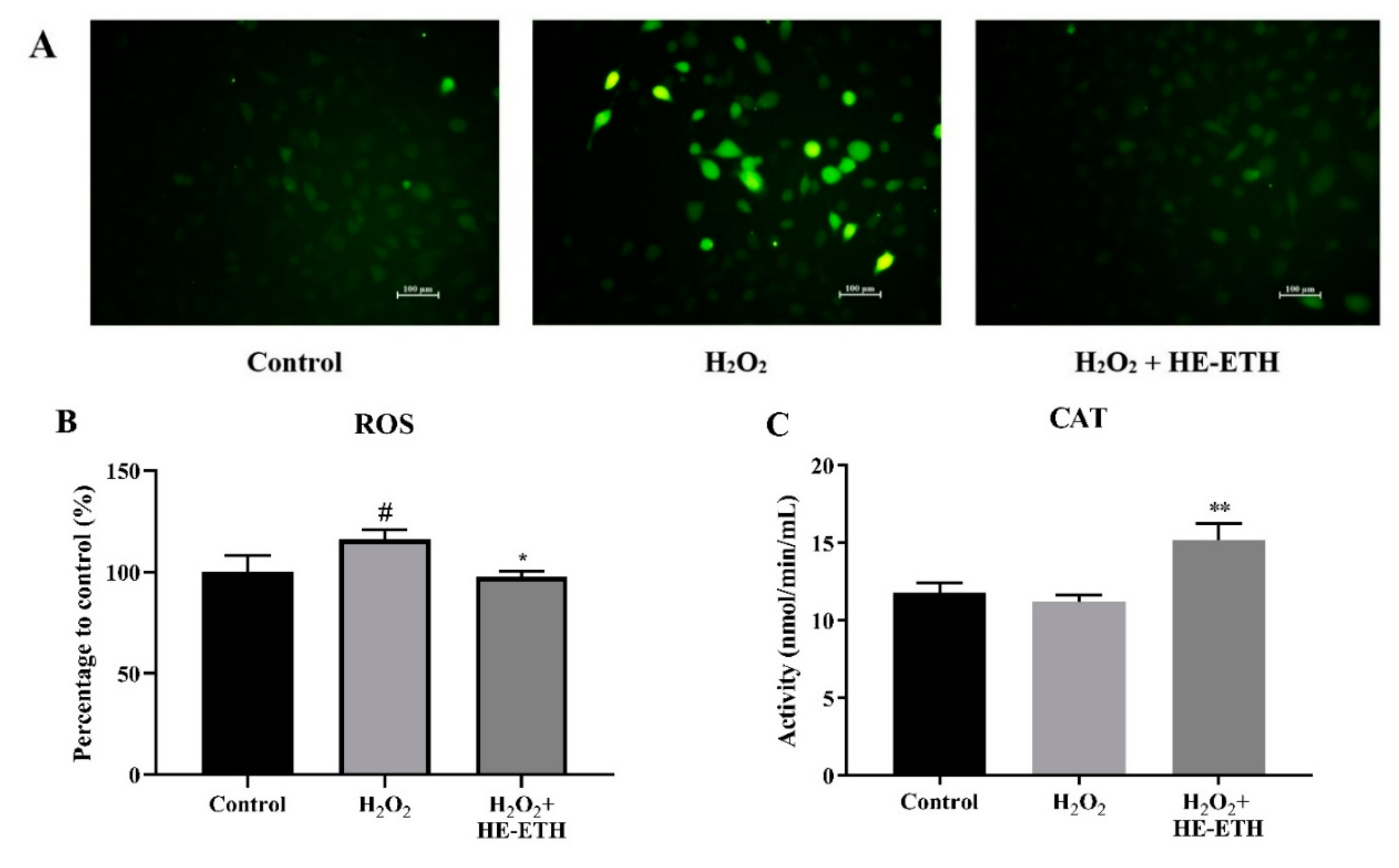 Antioxidants 08 00261 g005a