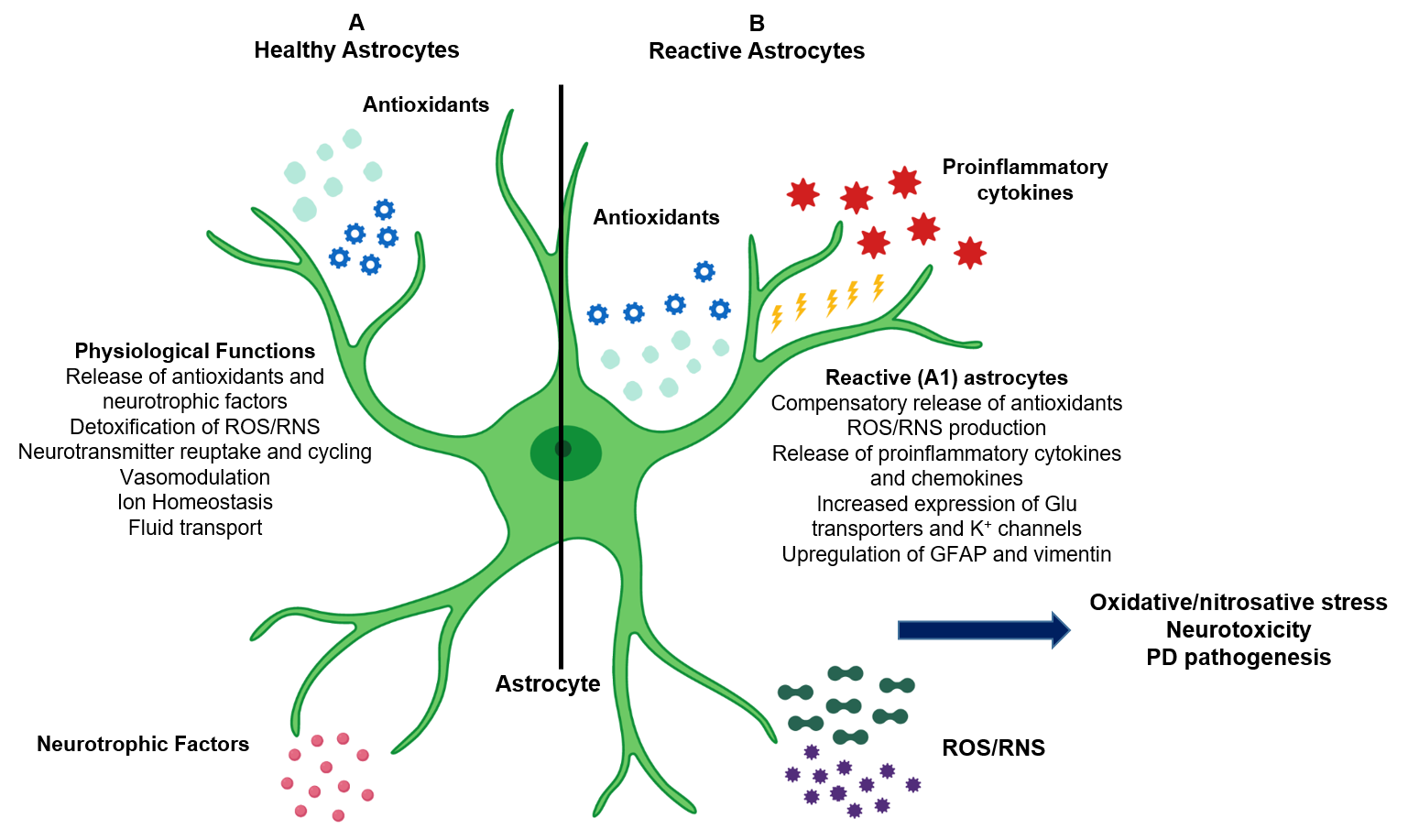 Antioxidants 08 00265 g001 Antioxidants 08 00265 g001