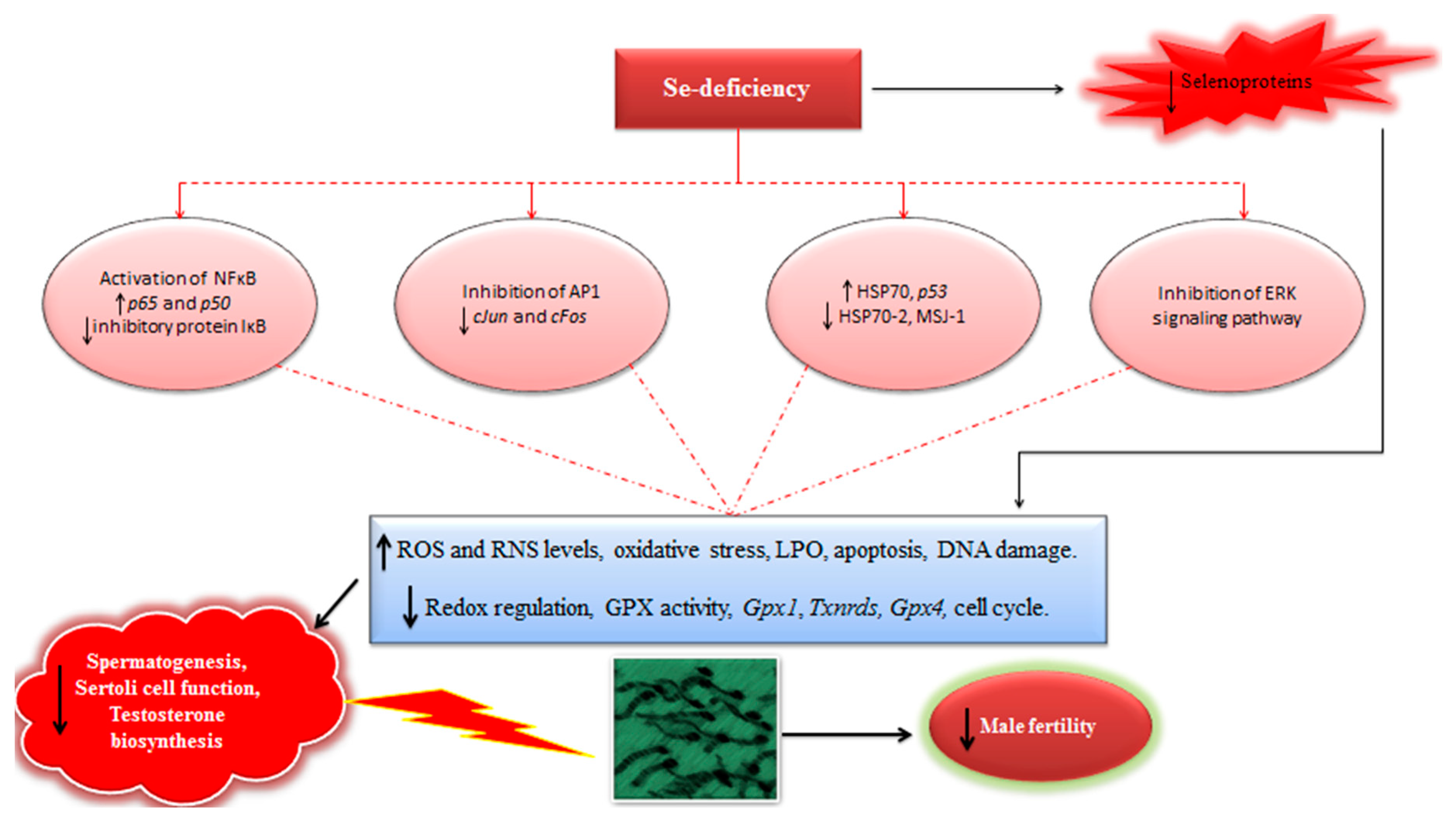 Antioxidants 08 00268 g003