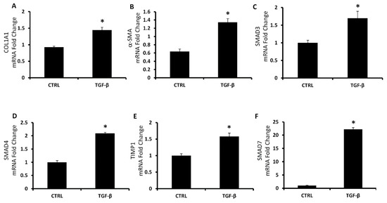 Antioxidants Free Full Text Inhibition Of Heme Oxygenase Antioxidant Activity Exacerbates Hepatic Steatosis And Fibrosis In Vitro Html