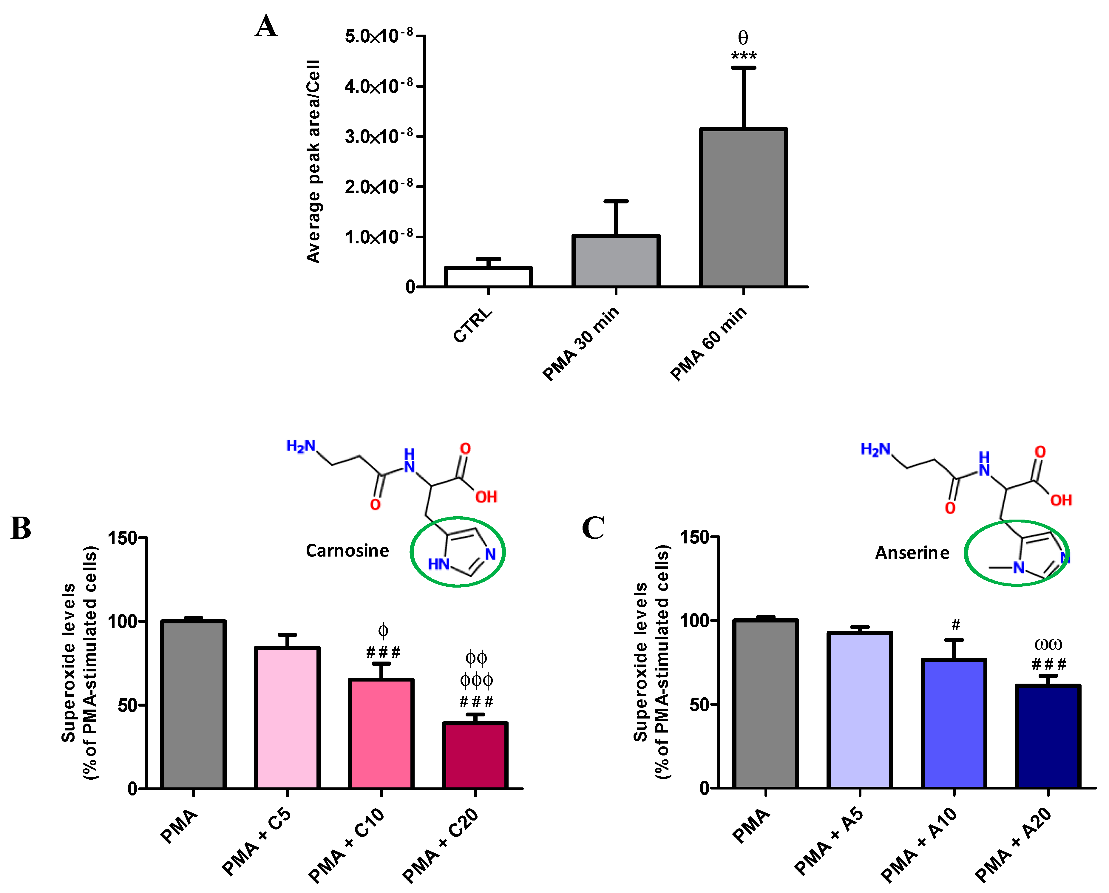 Antioxidants 08 00281 g001 Antioxidants 08 00281 g001