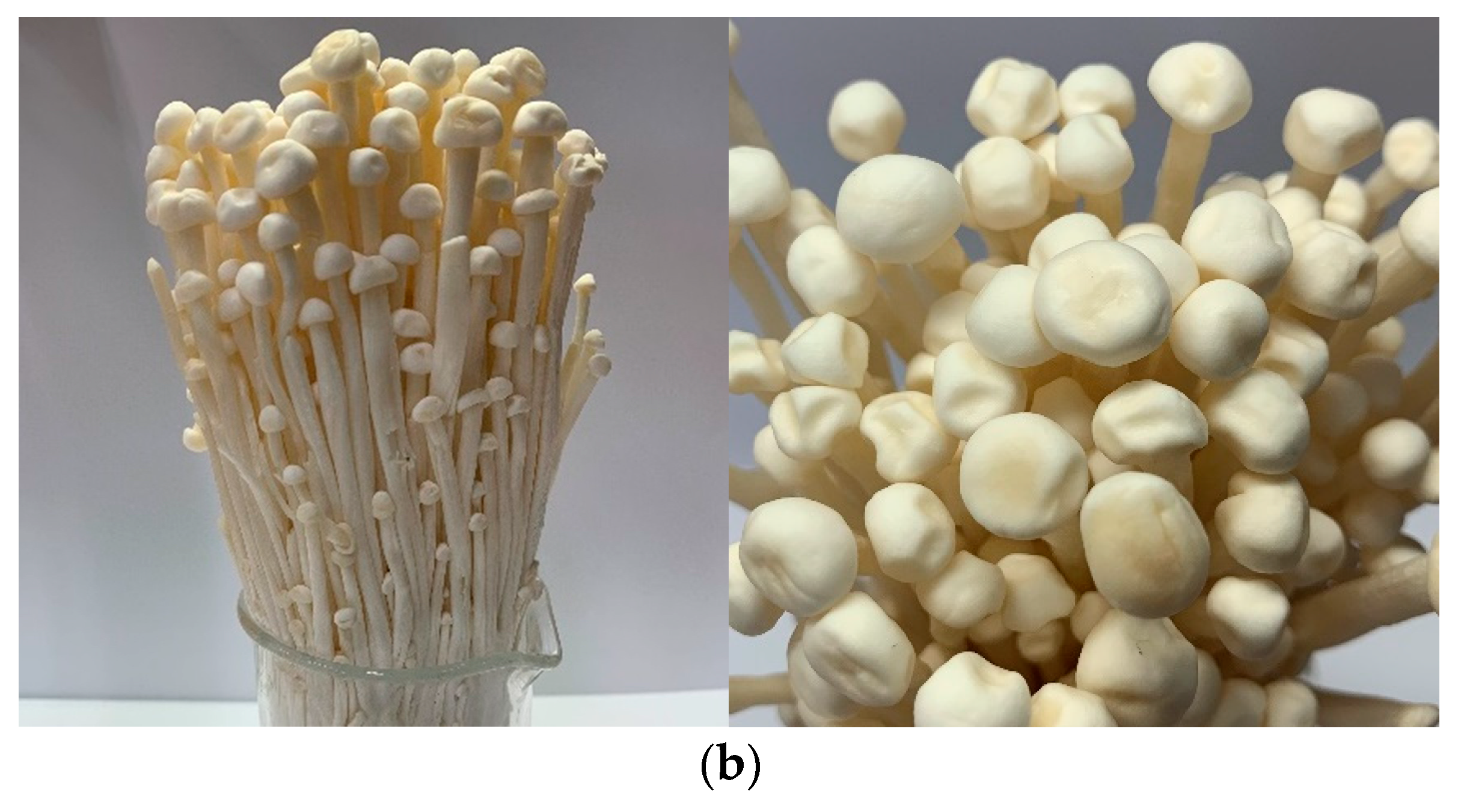 Antioxidants 08 00298 g001b Antioxidants 08 00298 g001b