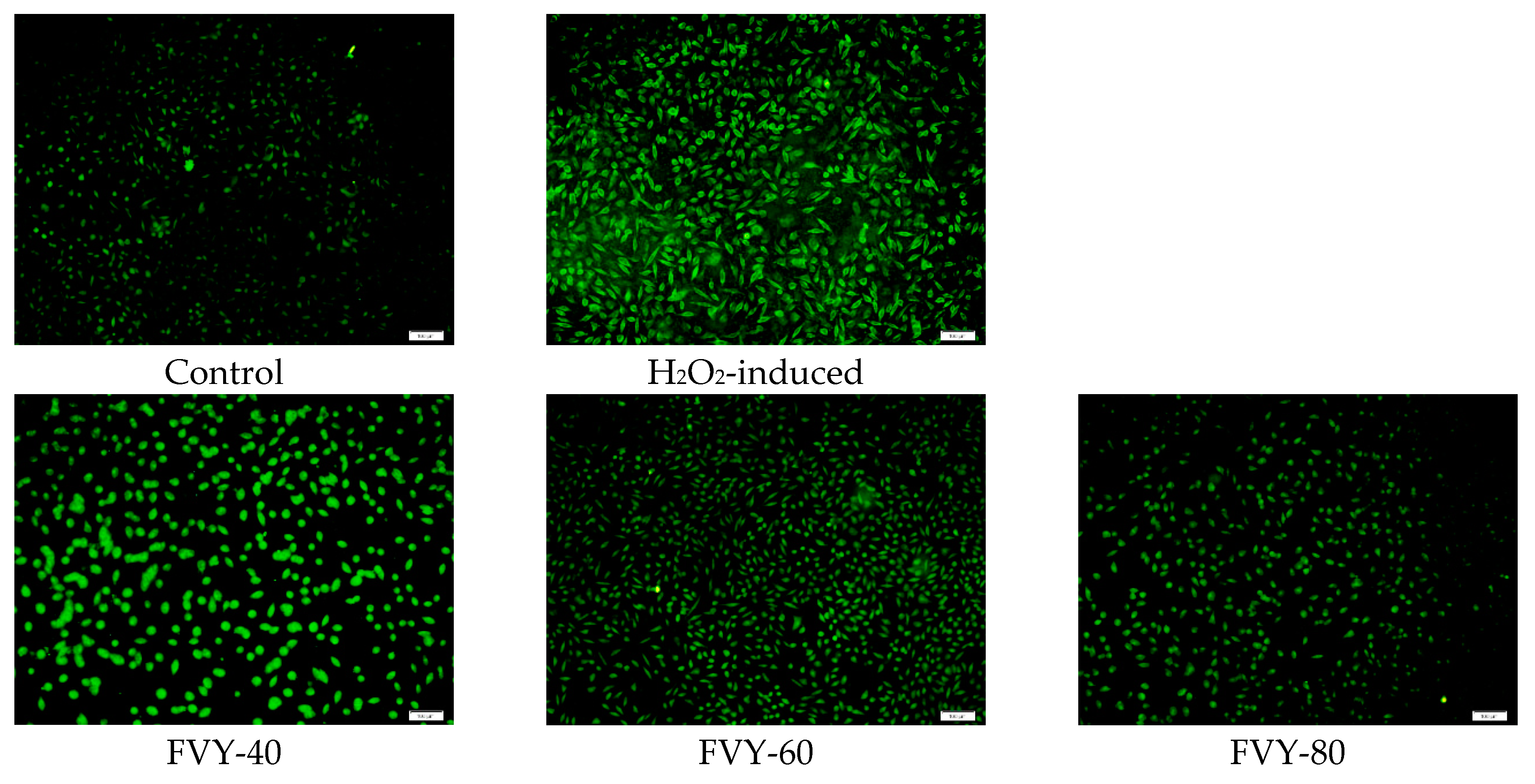 Antioxidants 08 00298 g008a Antioxidants 08 00298 g008a
