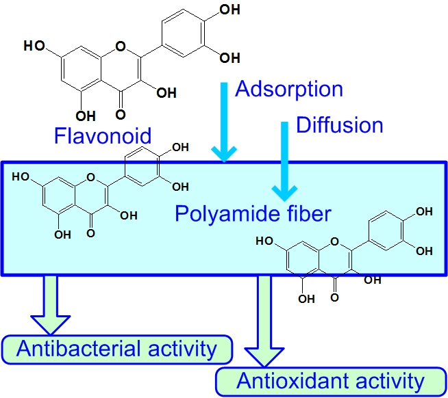 Antioxidants Free FullText Application of Natural Flavonoids to