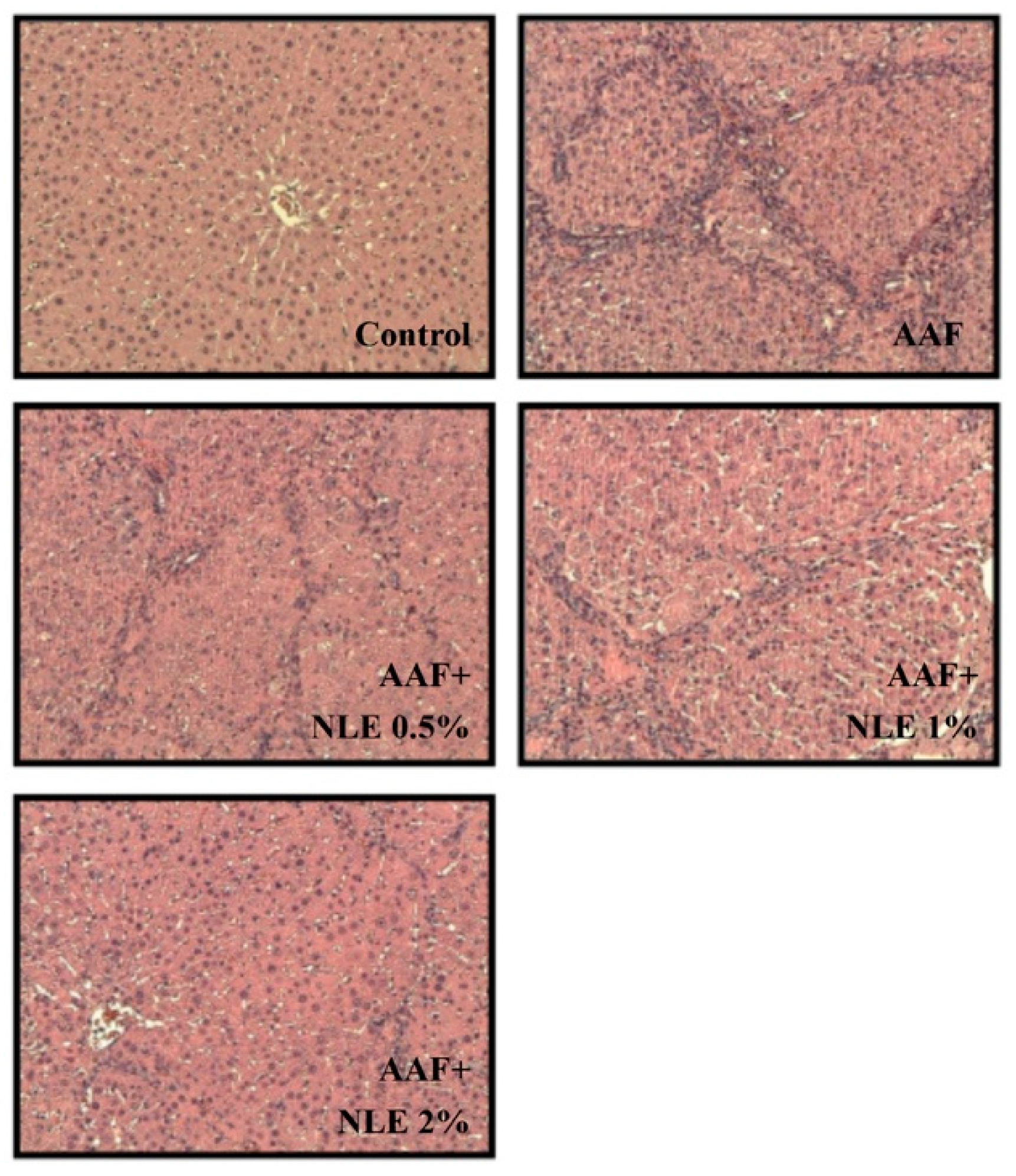 Antioxidants 08 00329 g001 Antioxidants 08 00329 g001