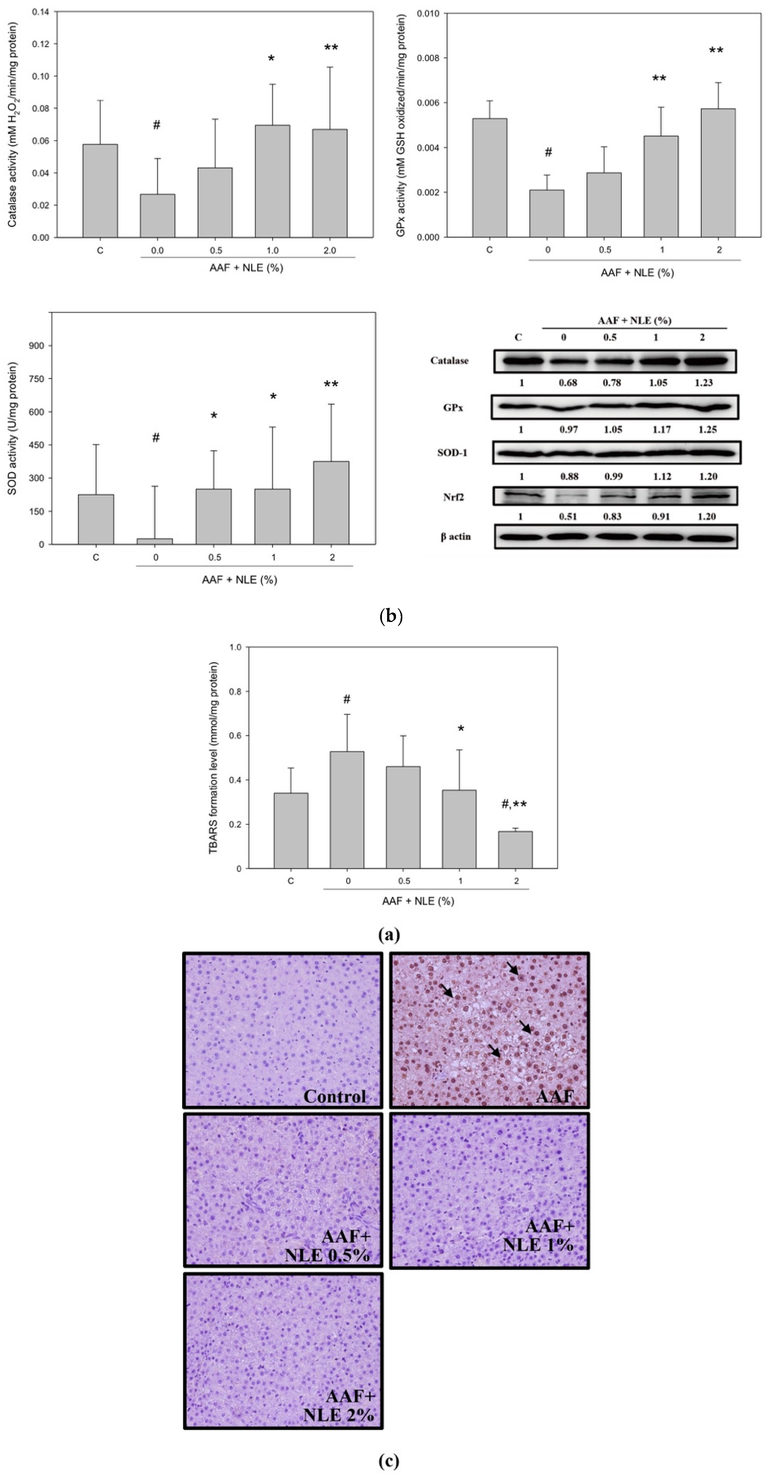 Antioxidants 08 00329 g006 Antioxidants 08 00329 g006