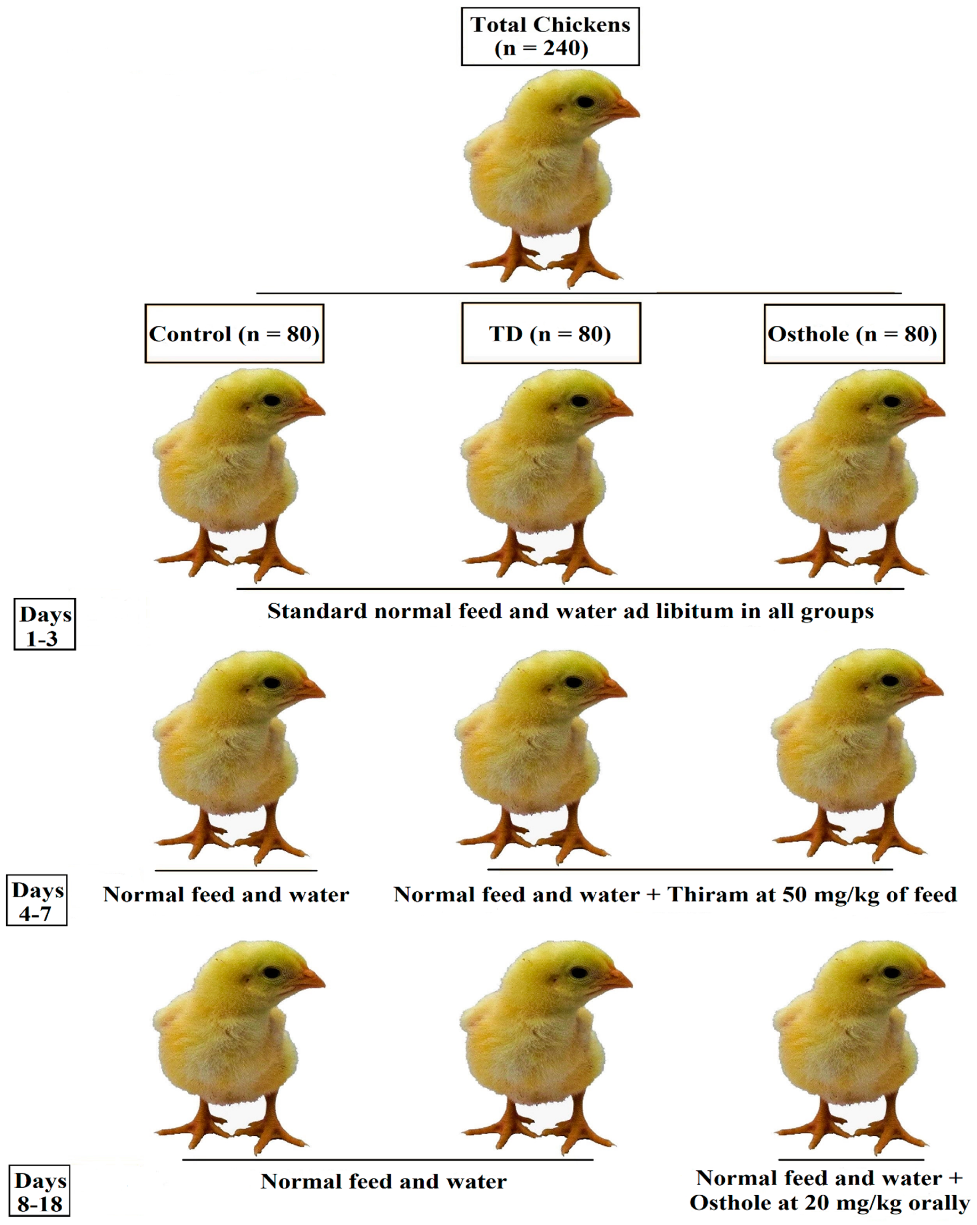 Antioxidants 08 00330 g002 Antioxidants 08 00330 g002