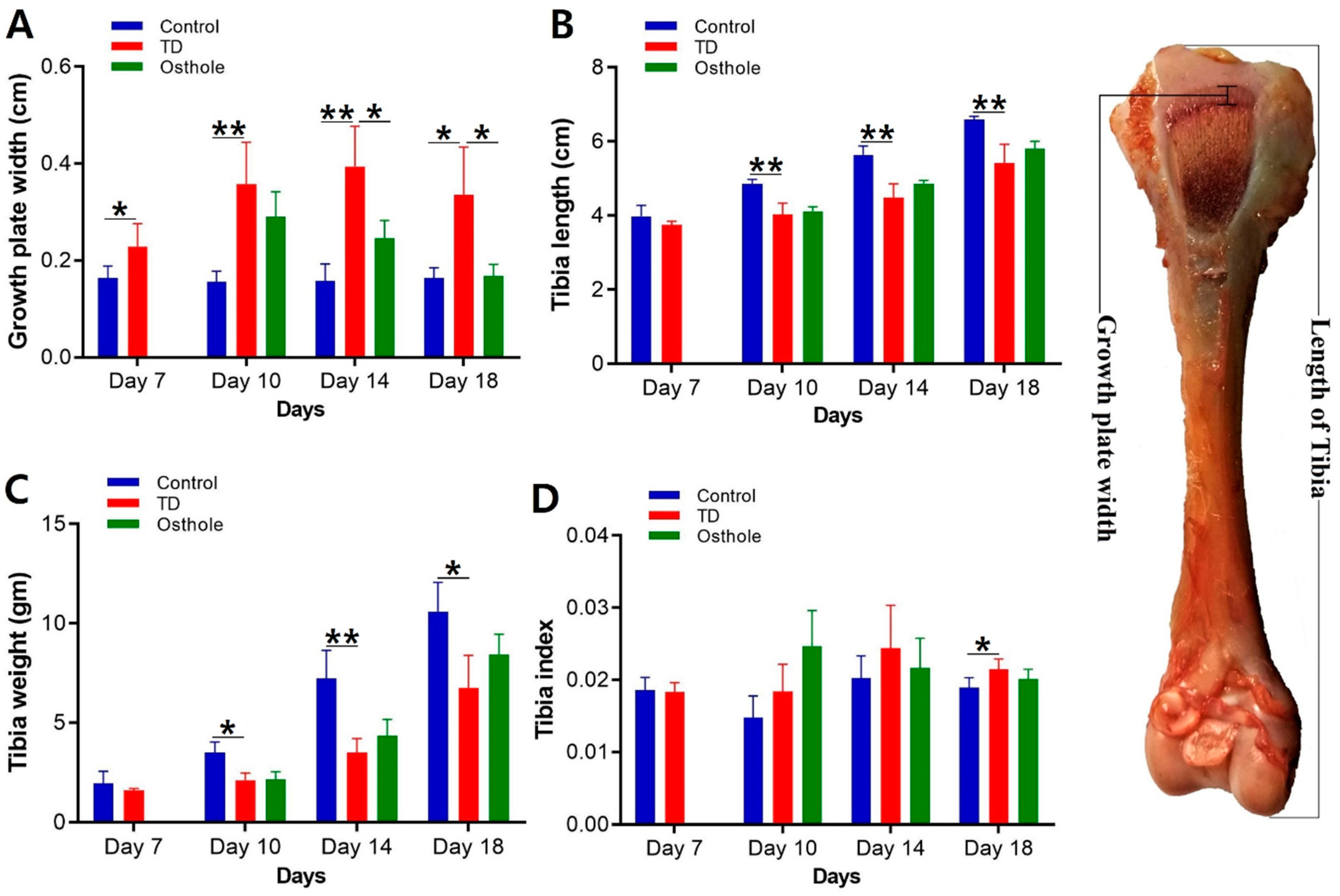 Antioxidants 08 00330 g006 Antioxidants 08 00330 g006