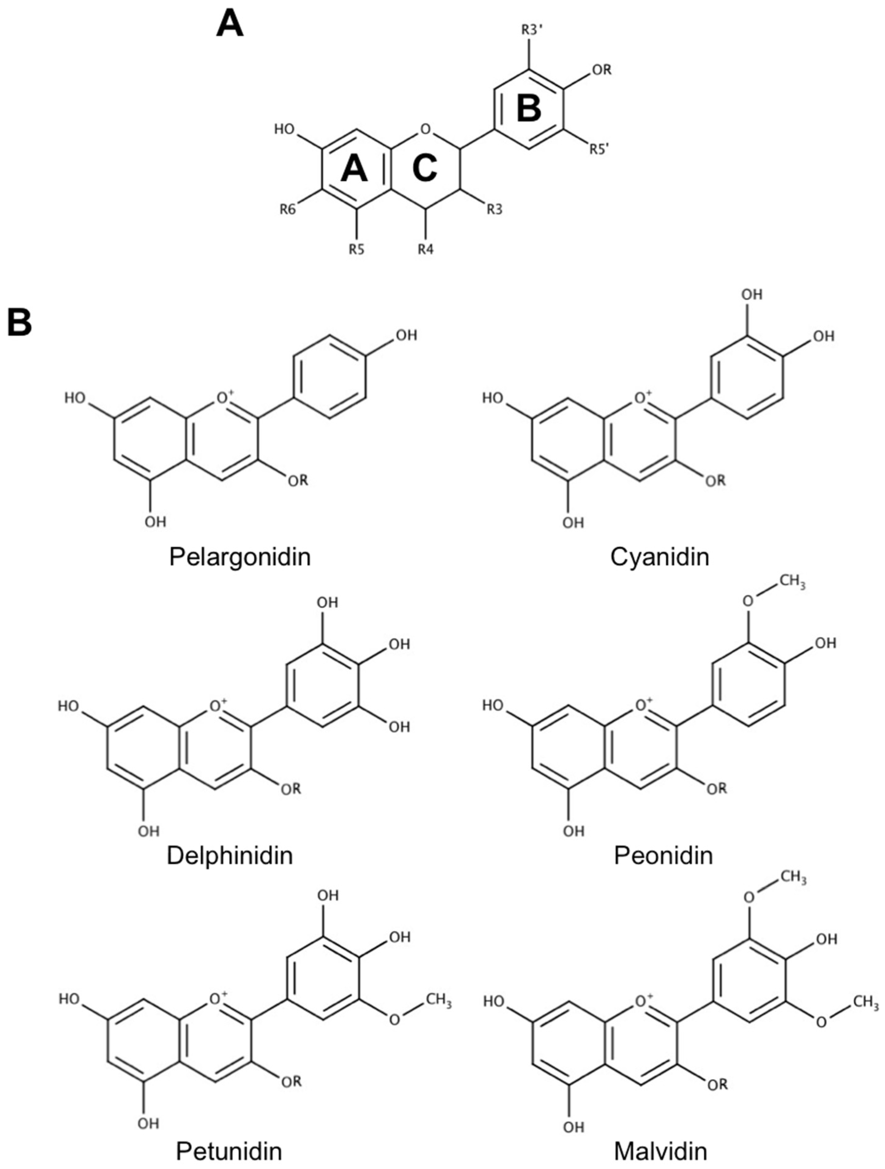 Antioxidants 08 00333 g002