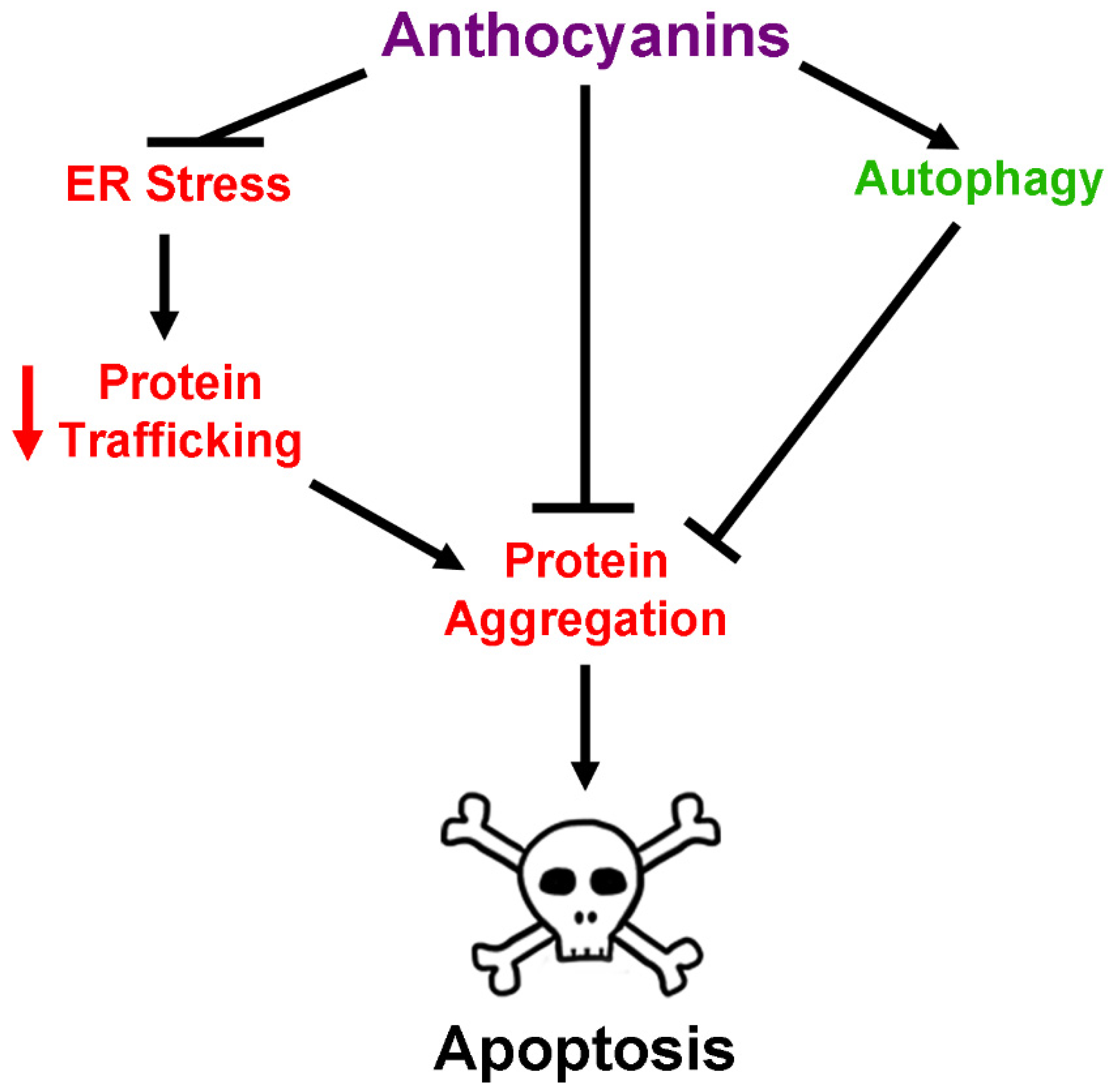 Antioxidants 08 00333 g006