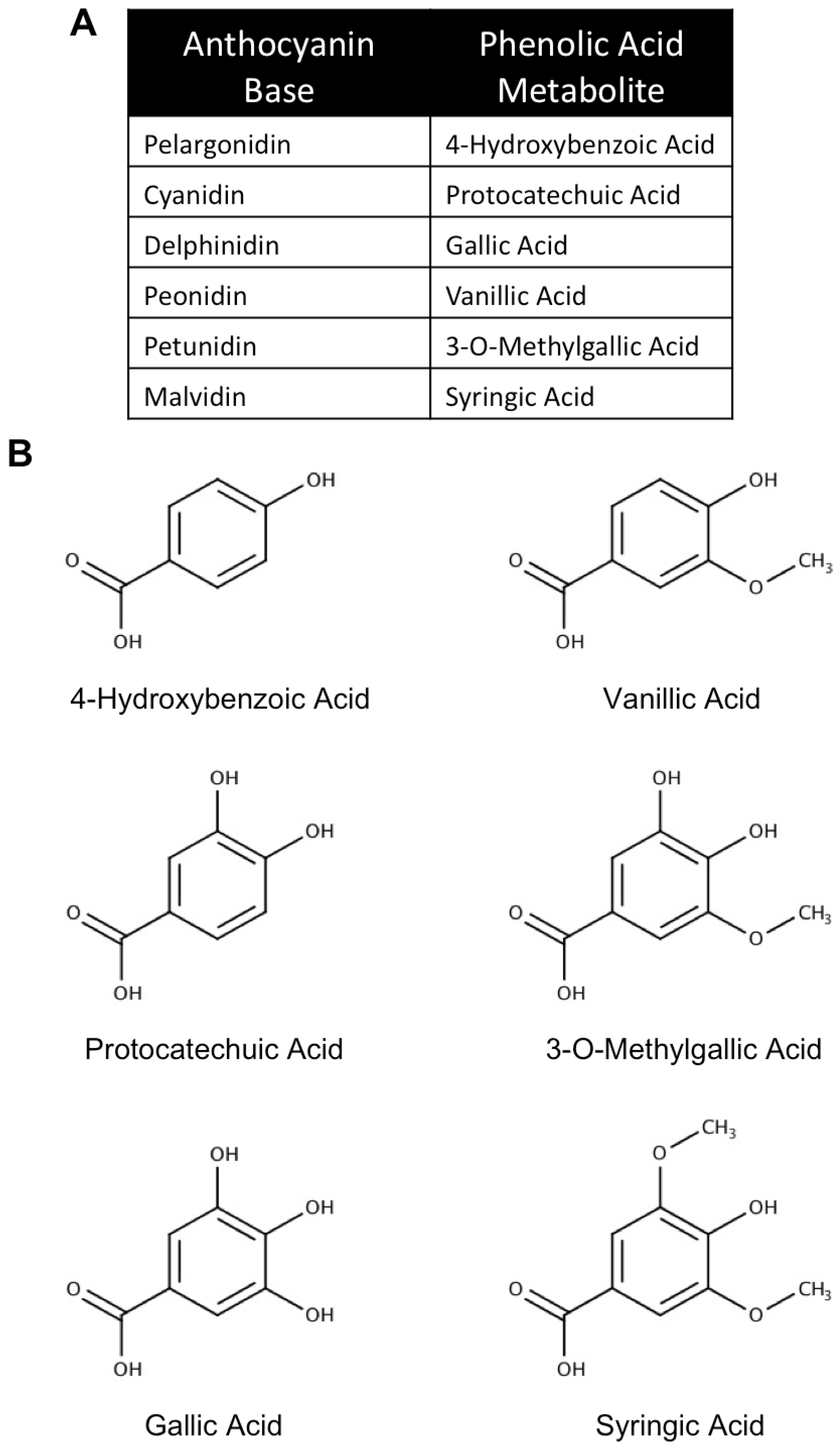 Antioxidants 08 00333 g009
