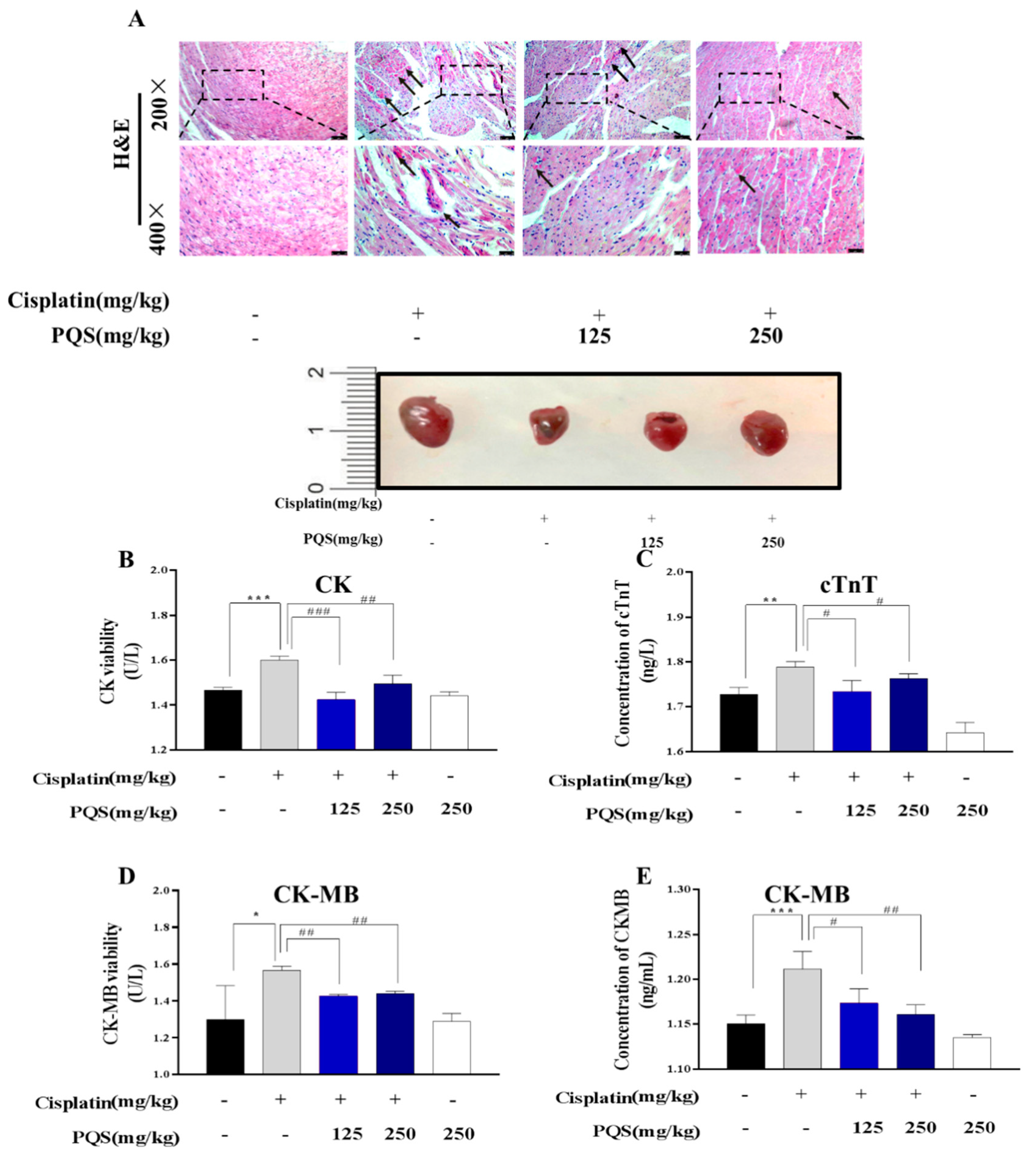 Antioxidants 08 00347 g002