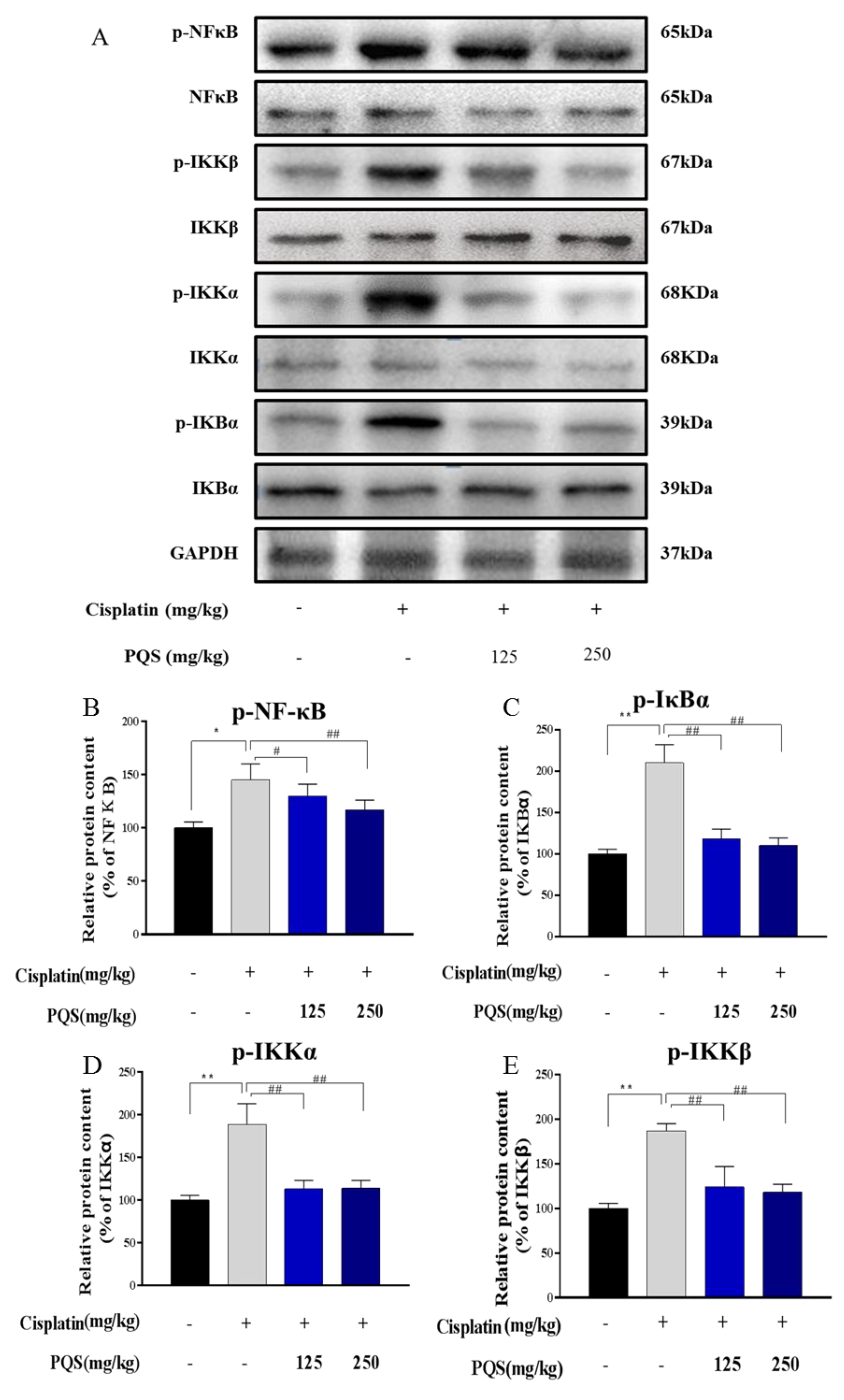 Antioxidants 08 00347 g006