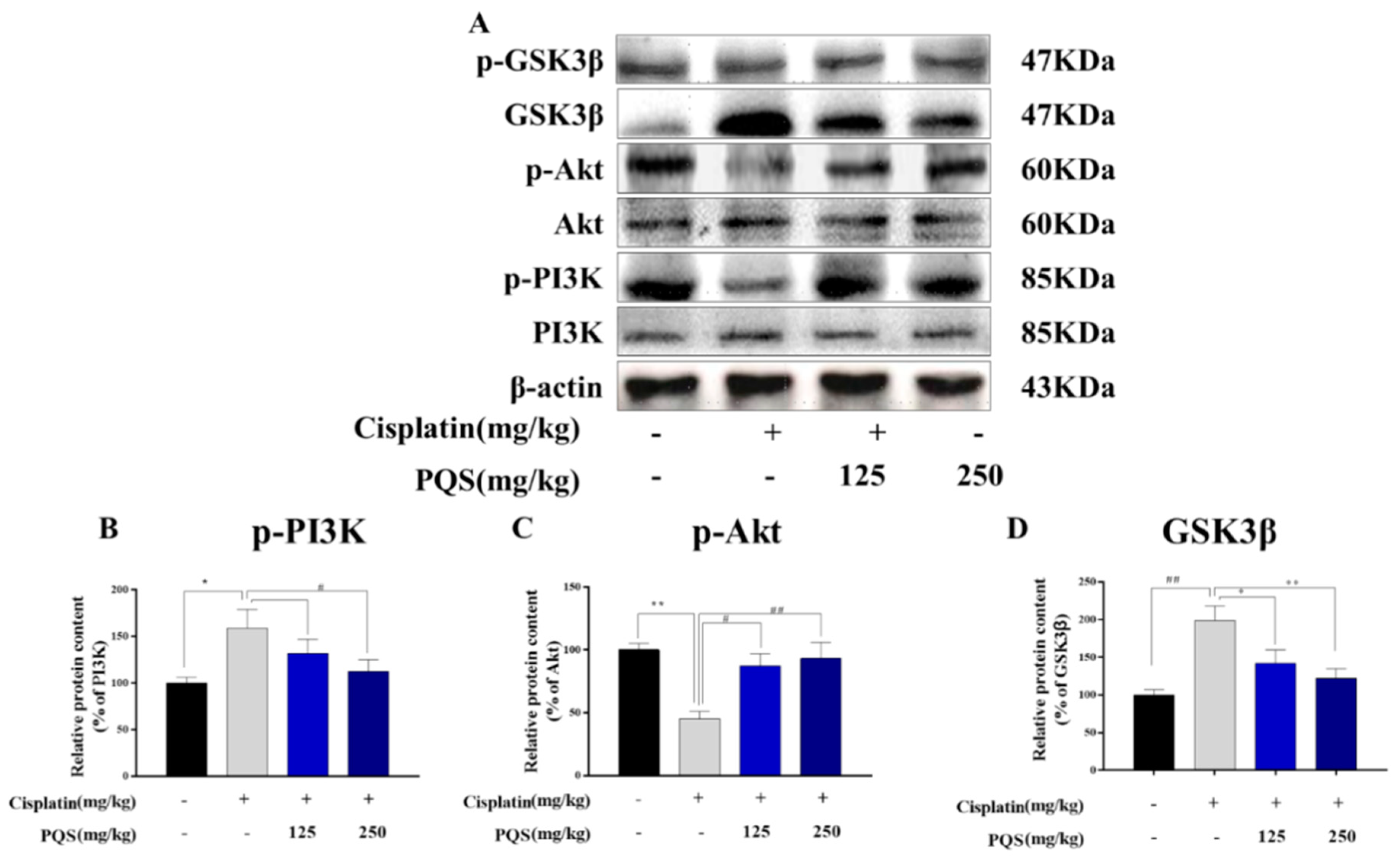 Antioxidants 08 00347 g008