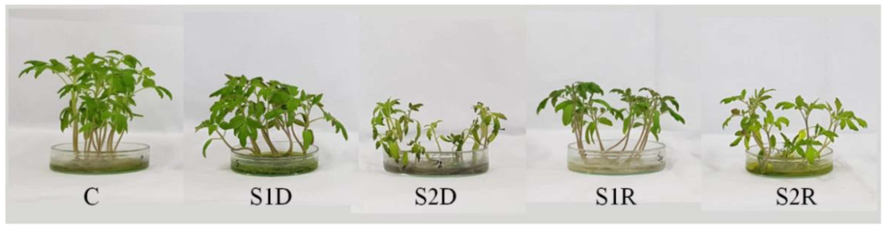 Antioxidants 08 00350 g003