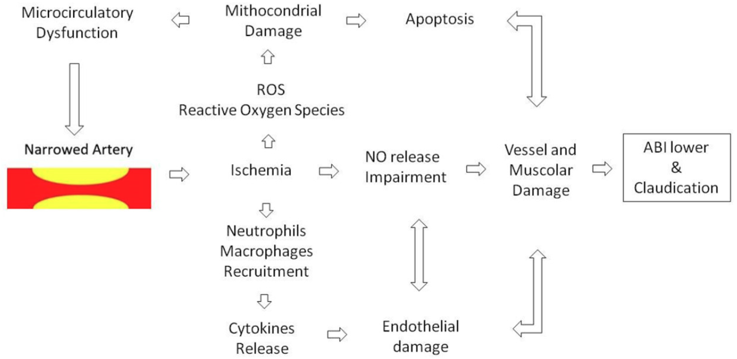 Antioxidants 08 00367 g002
