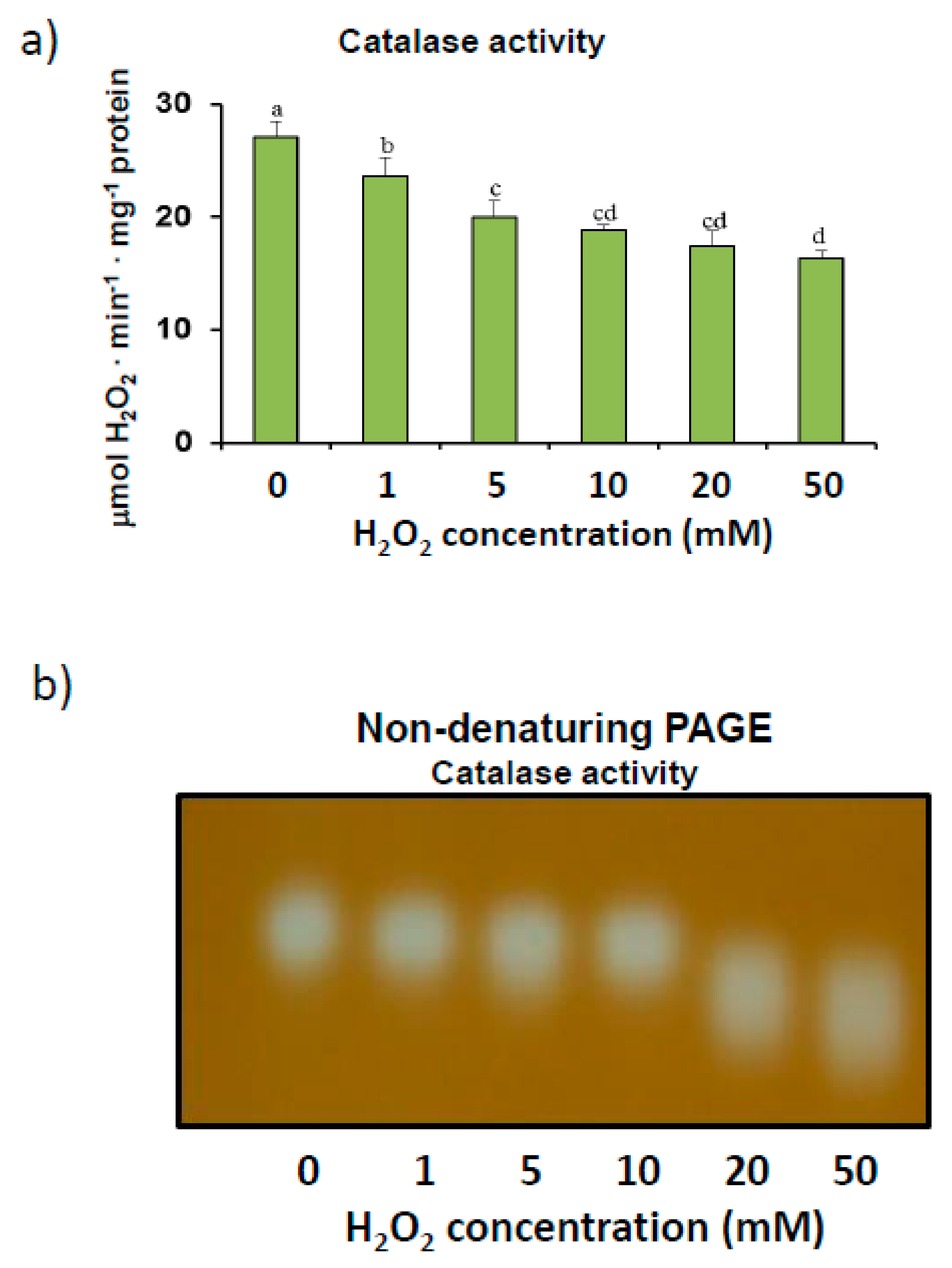 Antioxidants 08 00374 g002 Antioxidants 08 00374 g002