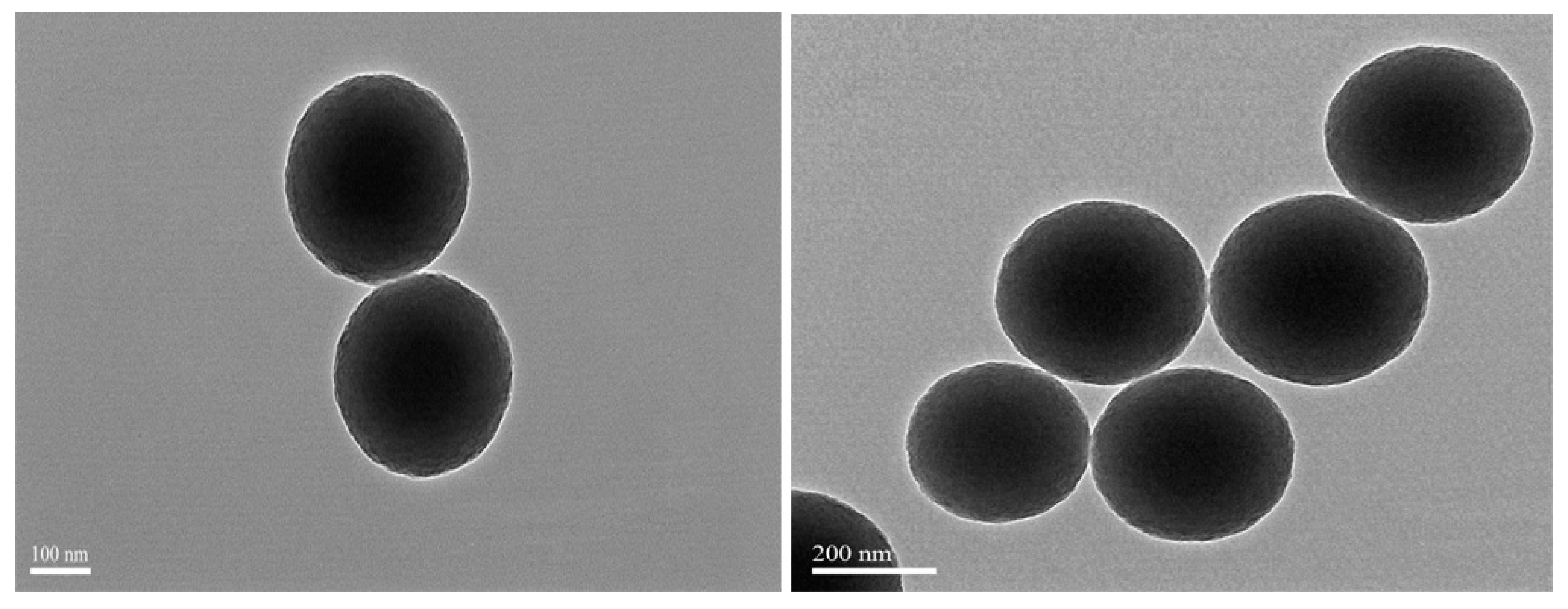 Antioxidants 08 00375 g002 Antioxidants 08 00375 g002