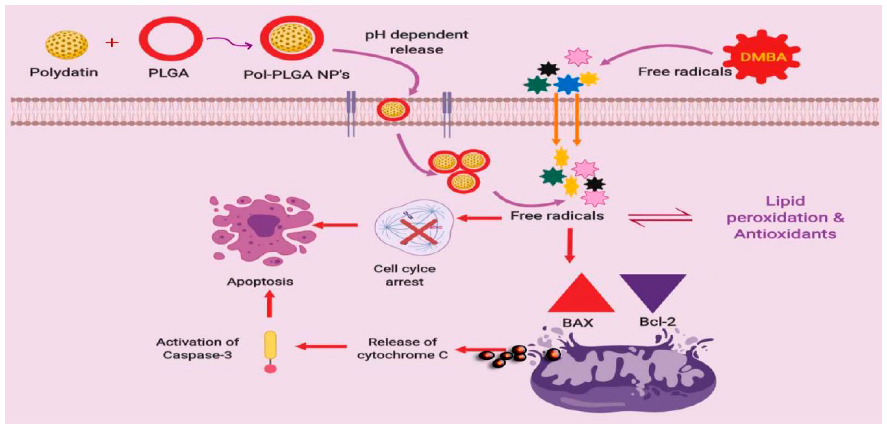 Antioxidants 08 00375 sch001 Antioxidants 08 00375 sch001