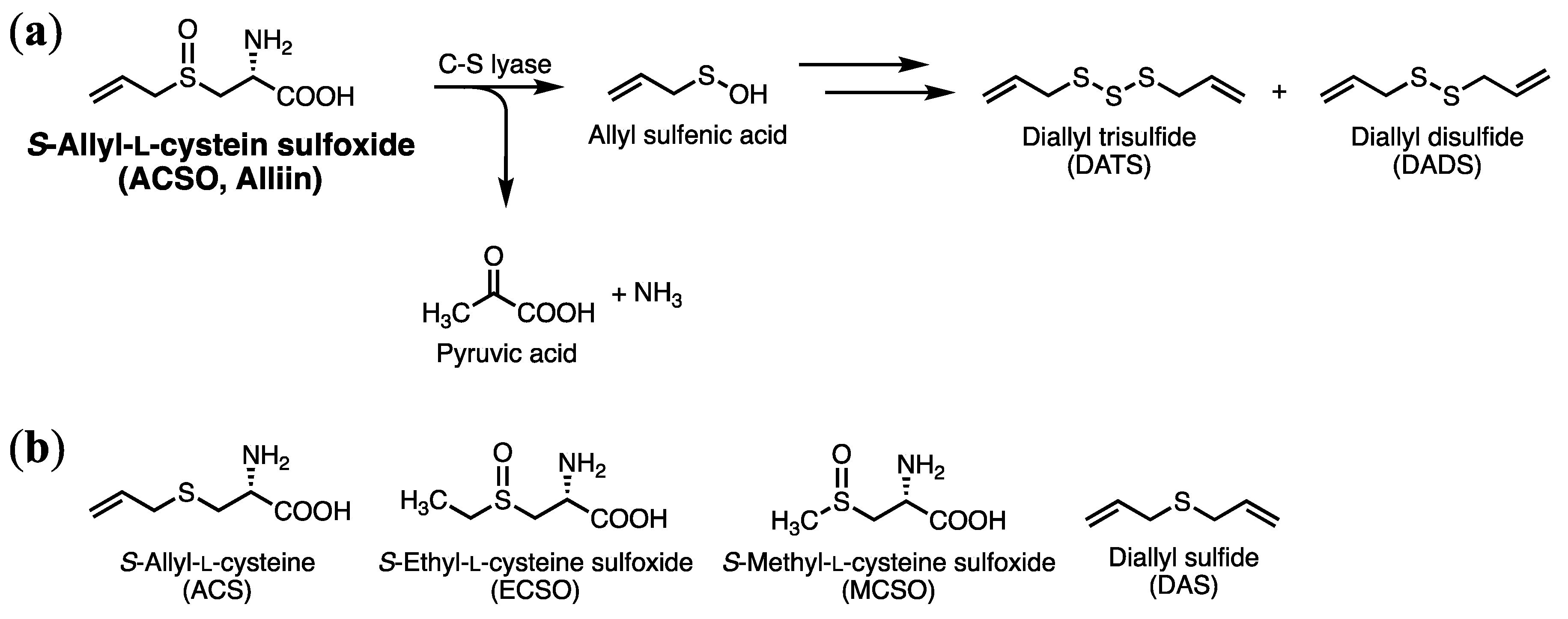 Antioxidants 08 00385 g001