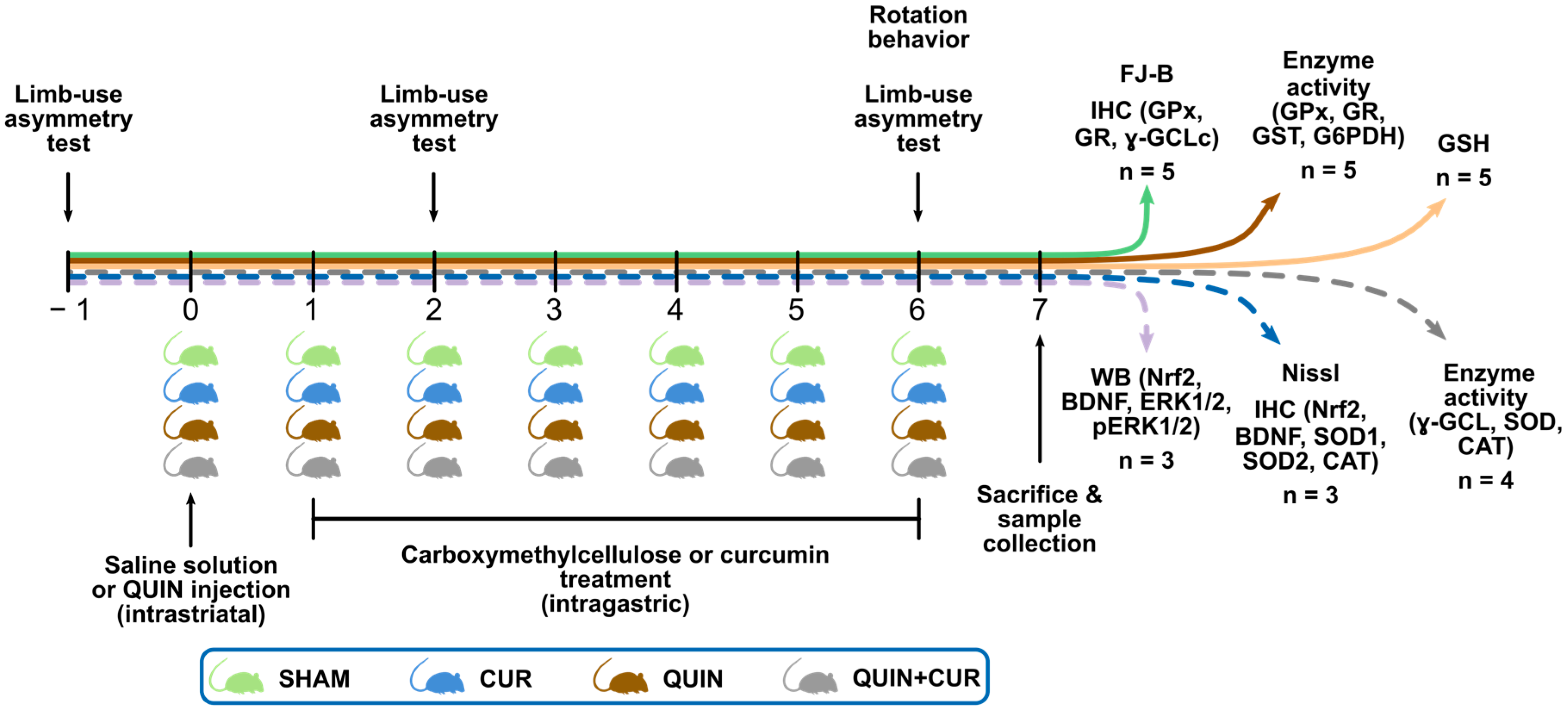 Antioxidants 08 00388 g001
